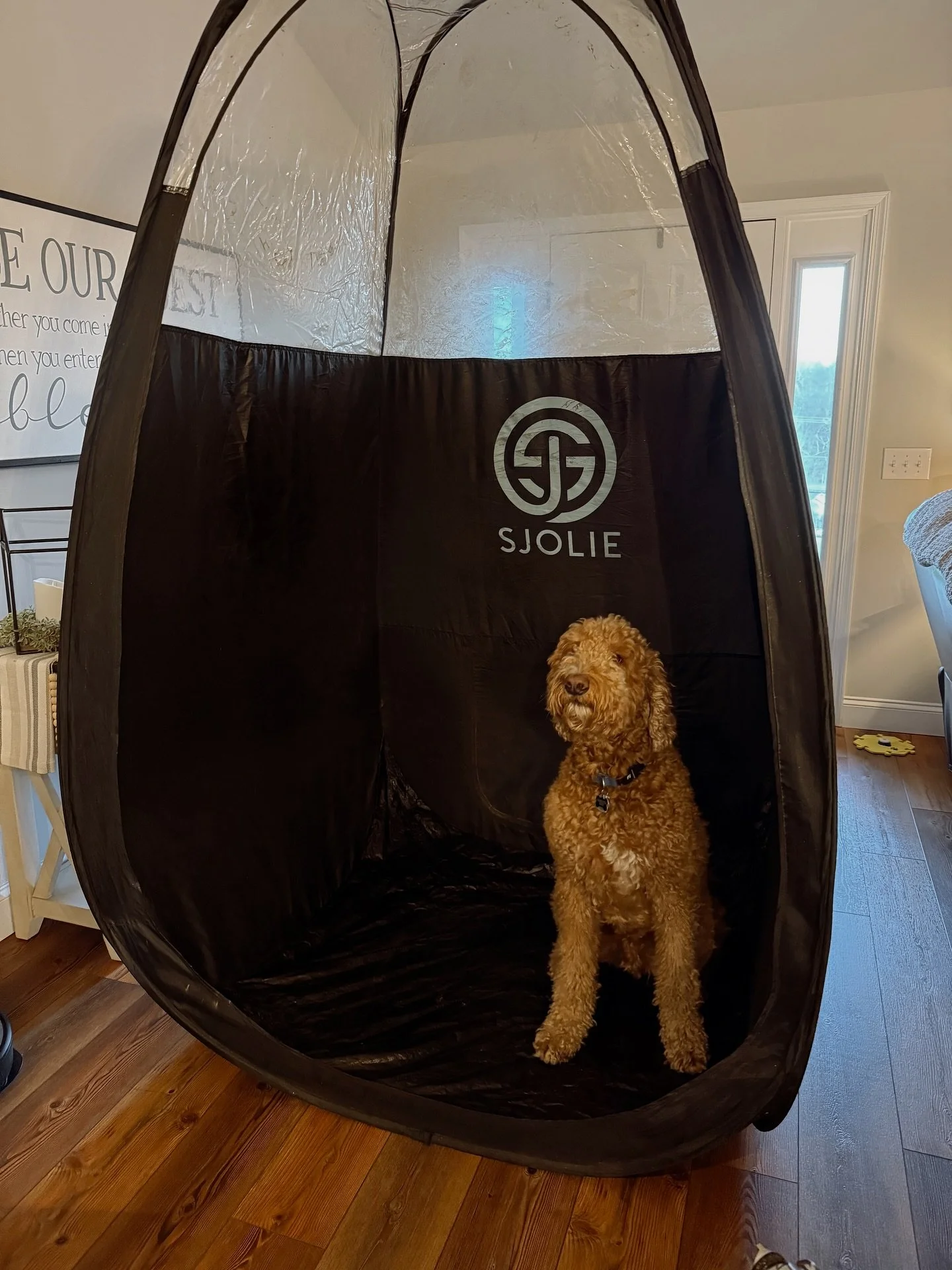 Best client in the world 🐶☺️🌎
One of the benefits of using an all natural spray tan solution, you don&rsquo;t have to worry about GUNKY chemicals! And one more step I take to make it EXTRA safe for everyone, including your furry friends, is bringin