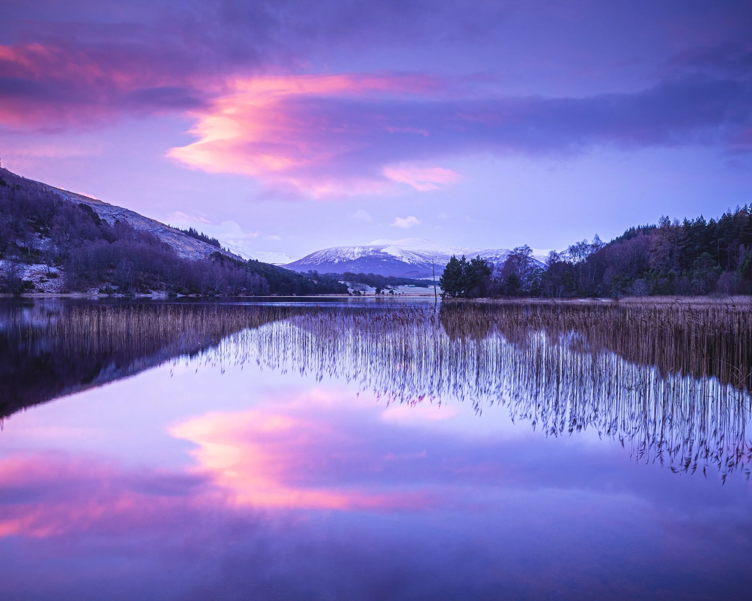 Scottish Snow-299.jpg