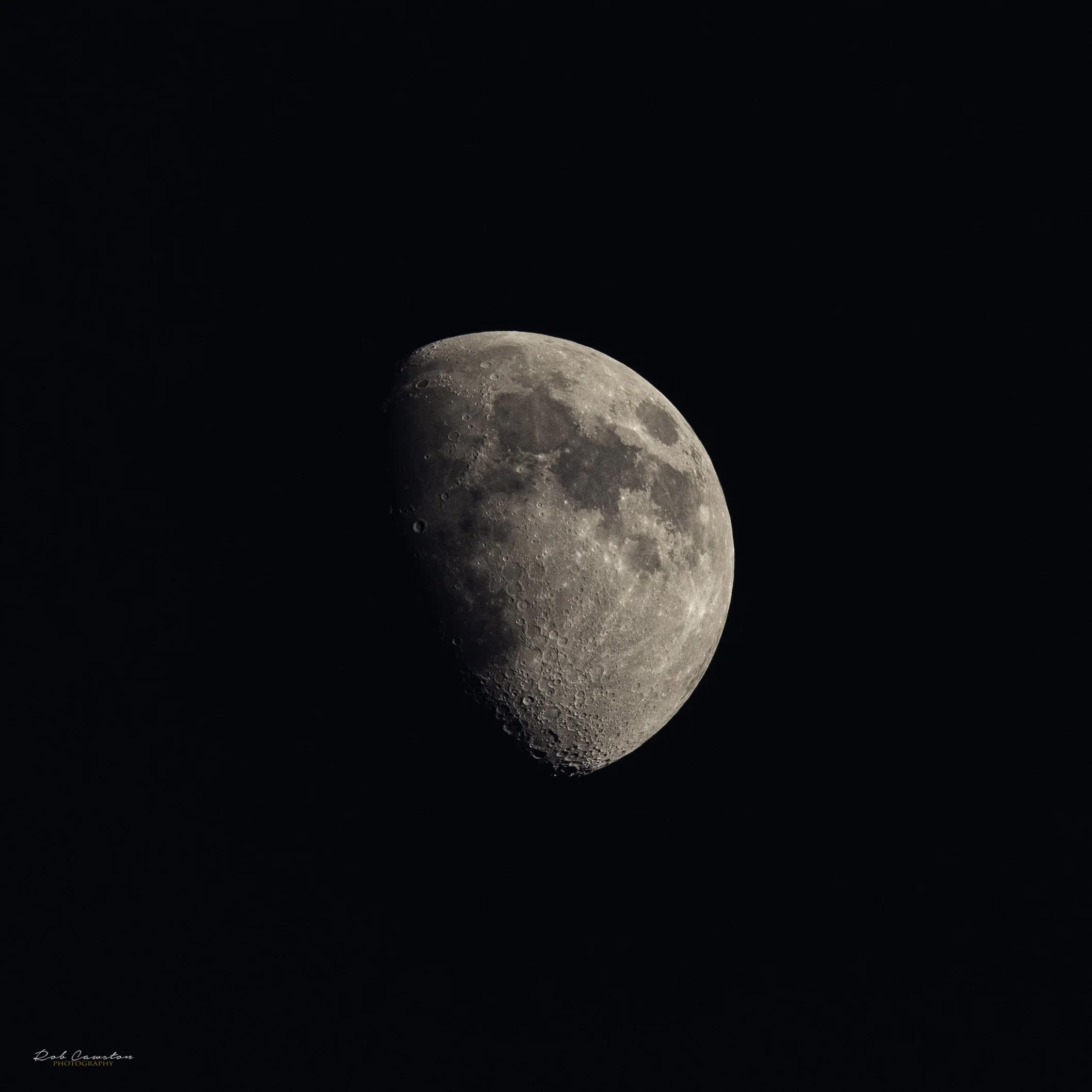 Moom in Twilight-4.jpg