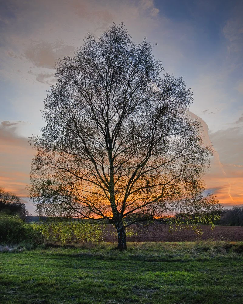 Purelius Sunset Easter 26 (1 of 2).jpg