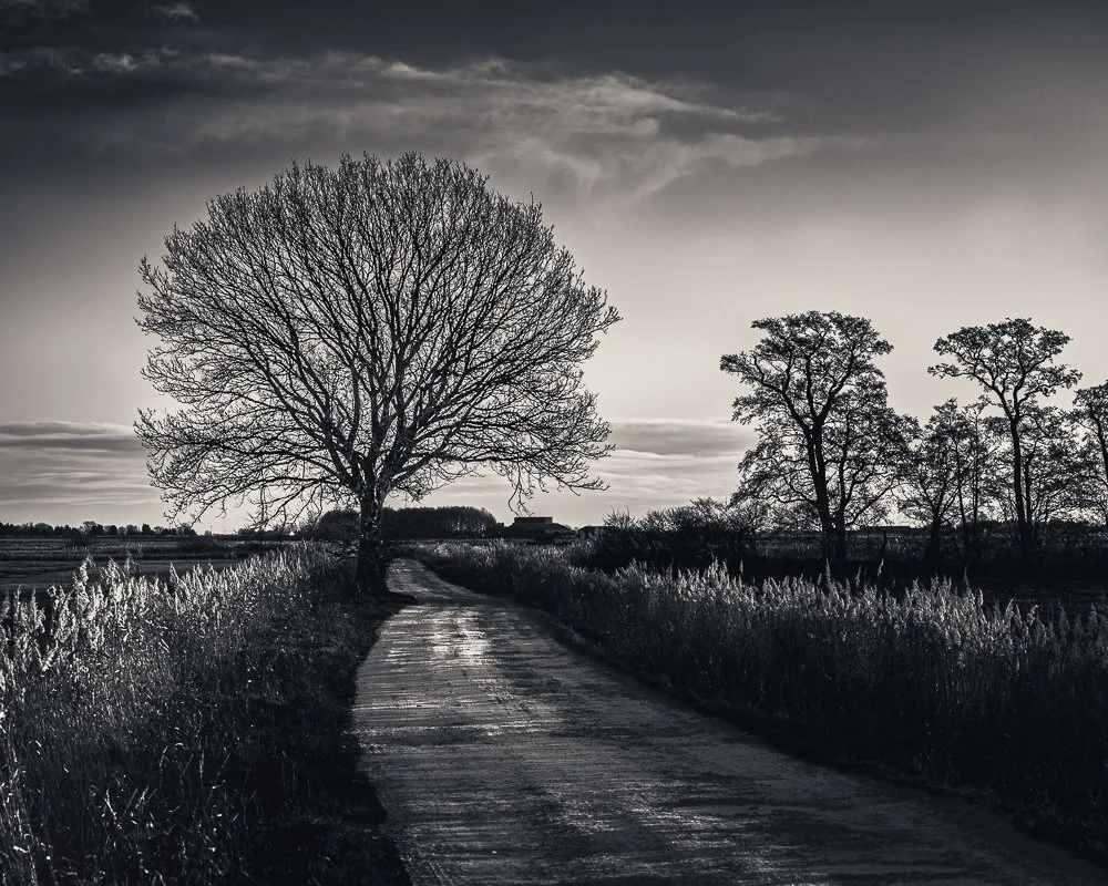 Holme Fen - First Snow (1 of 17)-3.jpg