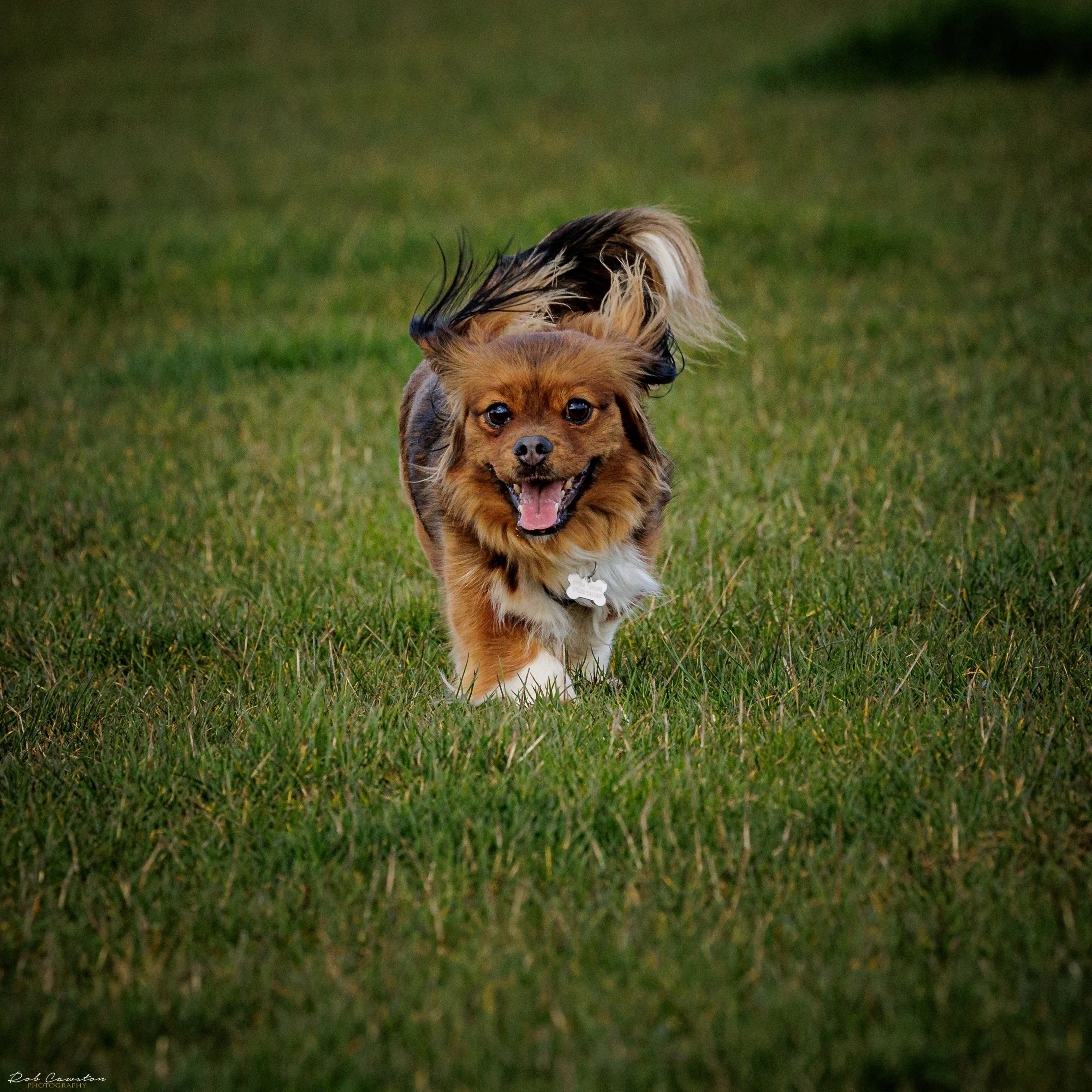 Maximus Birthday (290 of 501).jpg