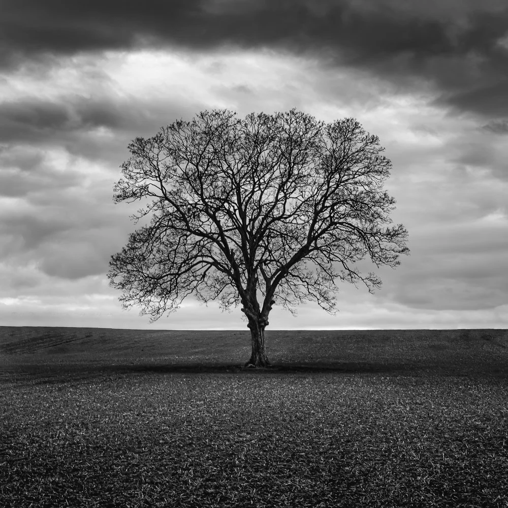 untitled (16 of 27)-Edit.jpg