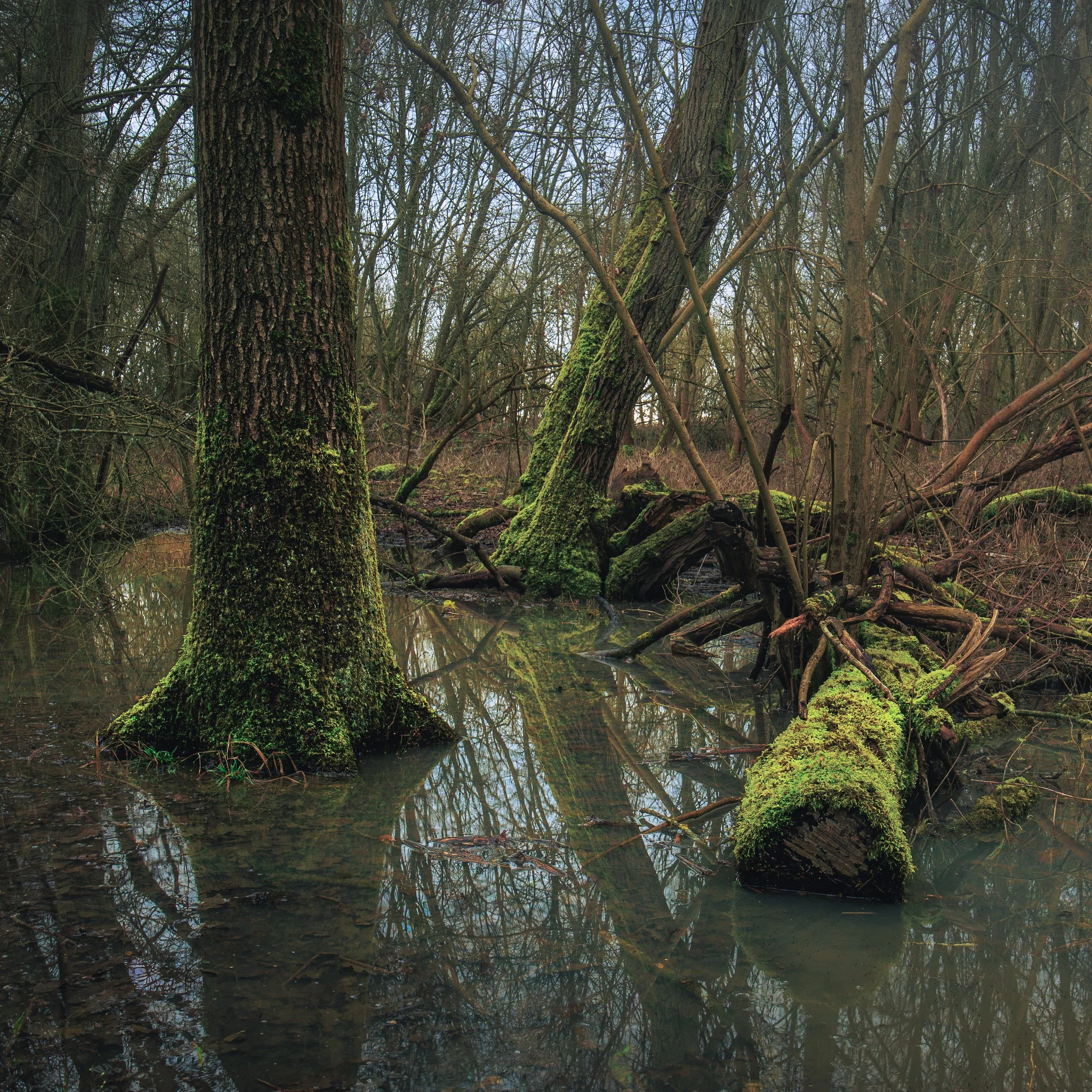 Little Motton Sale, Near Nassington (5 of 9)-2.jpg