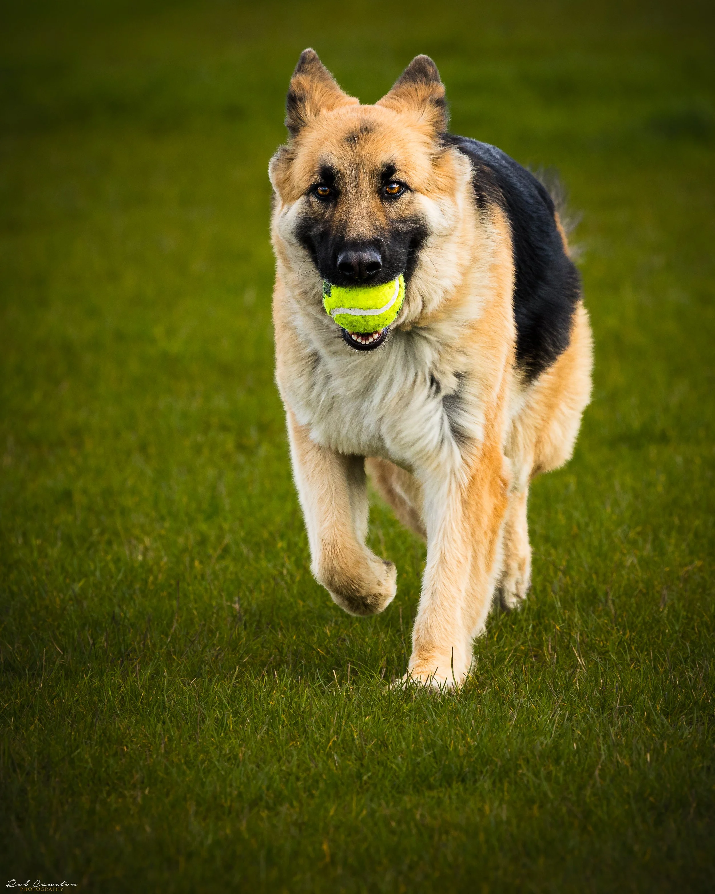 Maximus Birthday (16 of 501).jpg