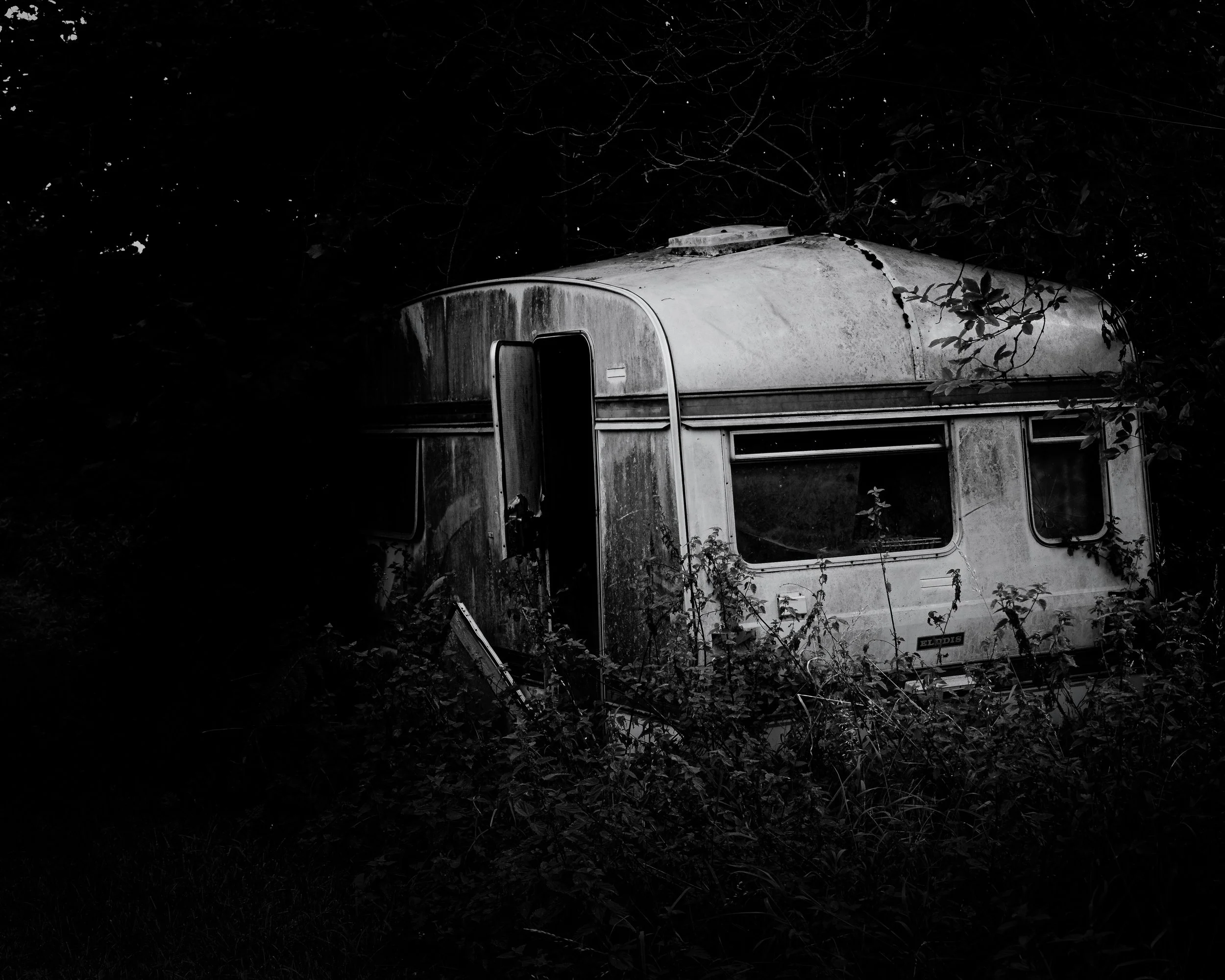 Caravan in the woods (3 of 1)-4.jpg