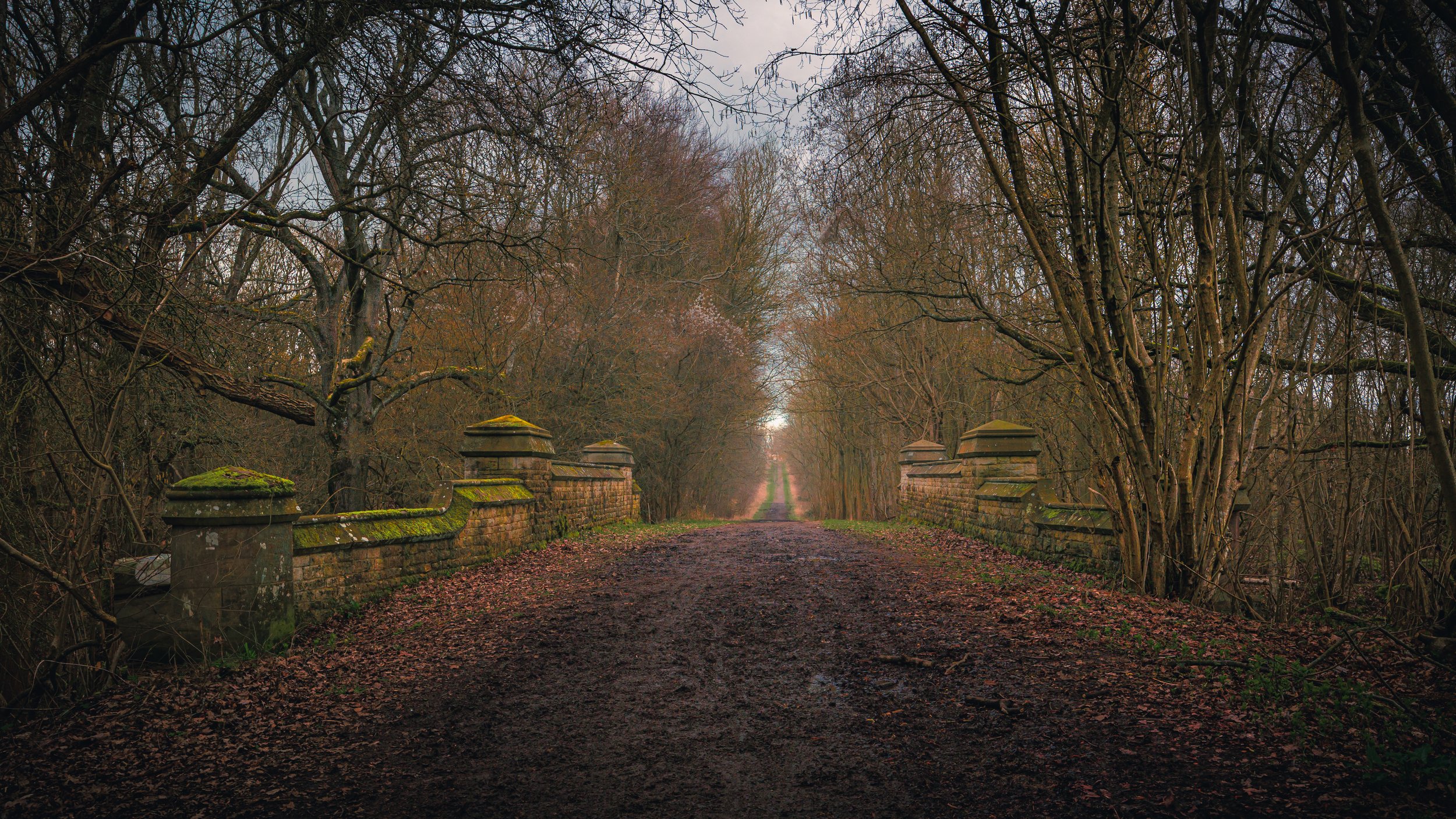 Little Motton Sale, Near Nassington (7 of 9)-2.jpg