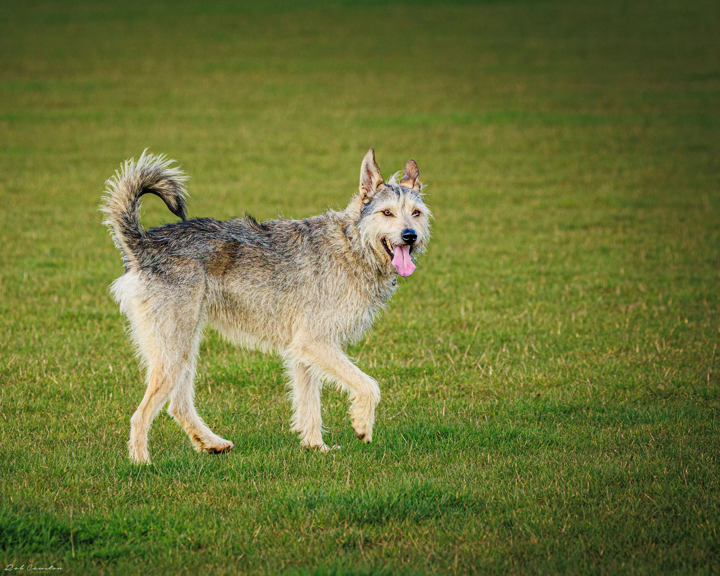 Maximus Birthday (122 of 501).jpg