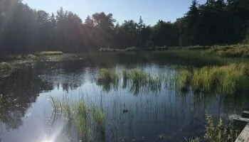 The Happiness Quiz: How Happy are You?