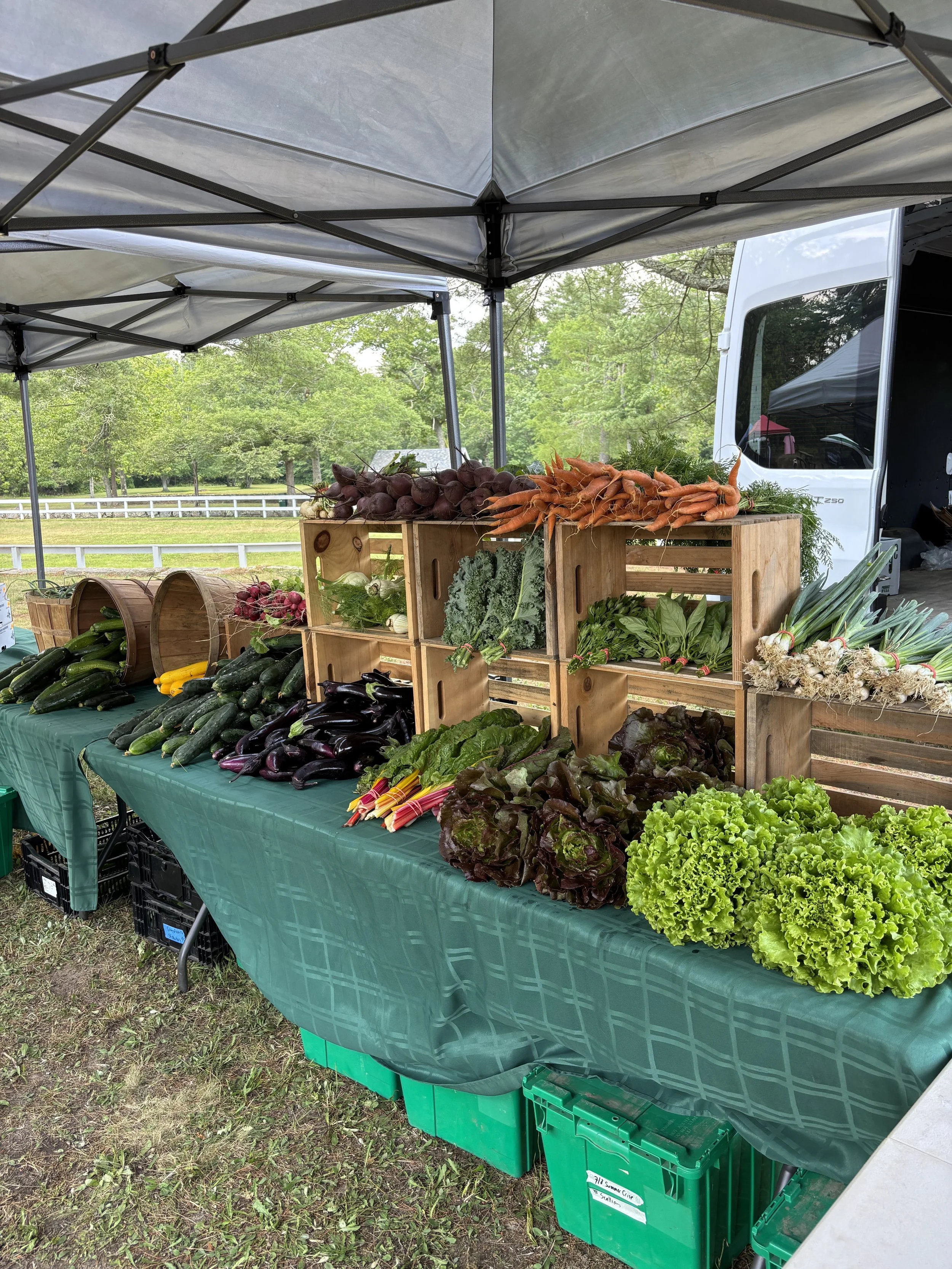 Washburn Trust Farmers Market