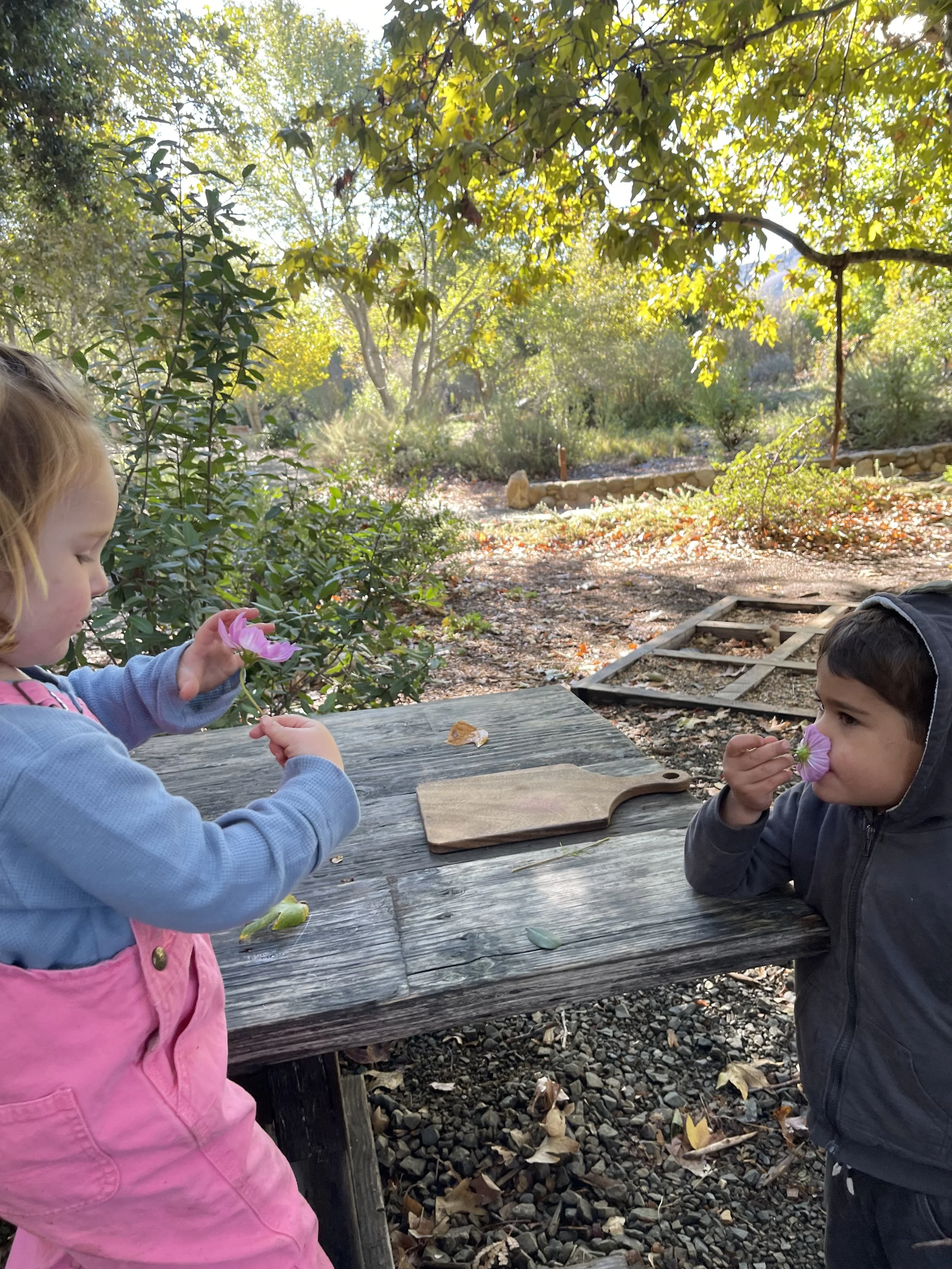 Kindergarten Skills &amp; Handwork with Miss Terri 