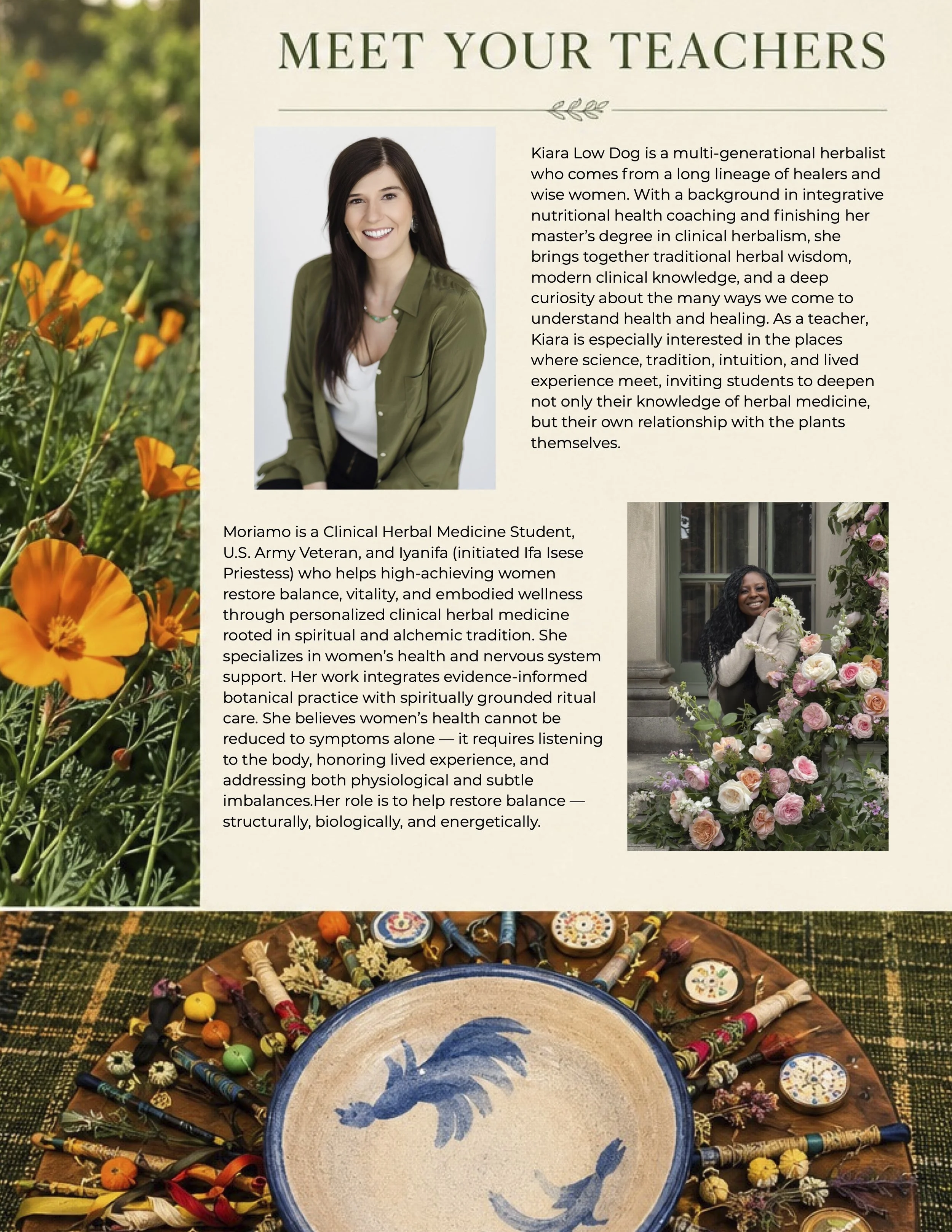 Intuitive Herbalist Brochure 2.jpg