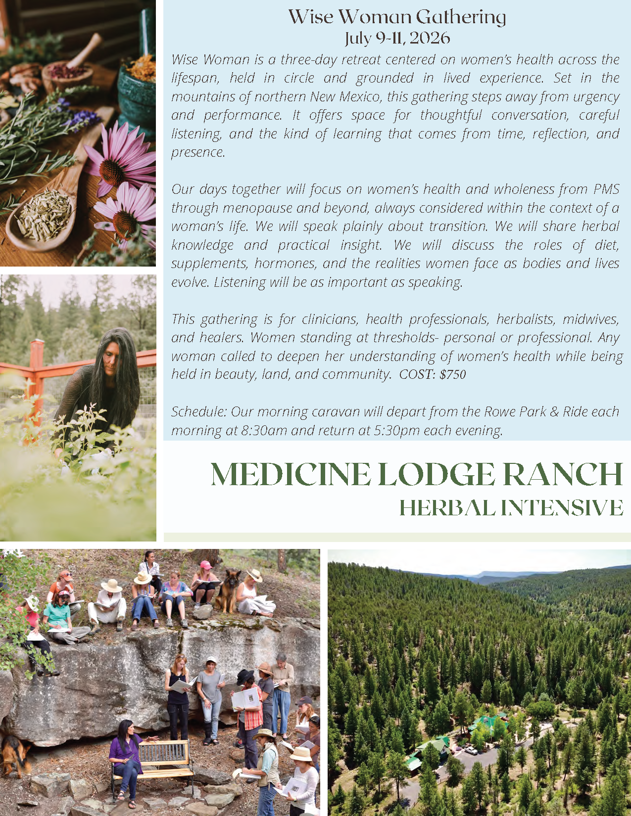 Wise Woman Gathering Image