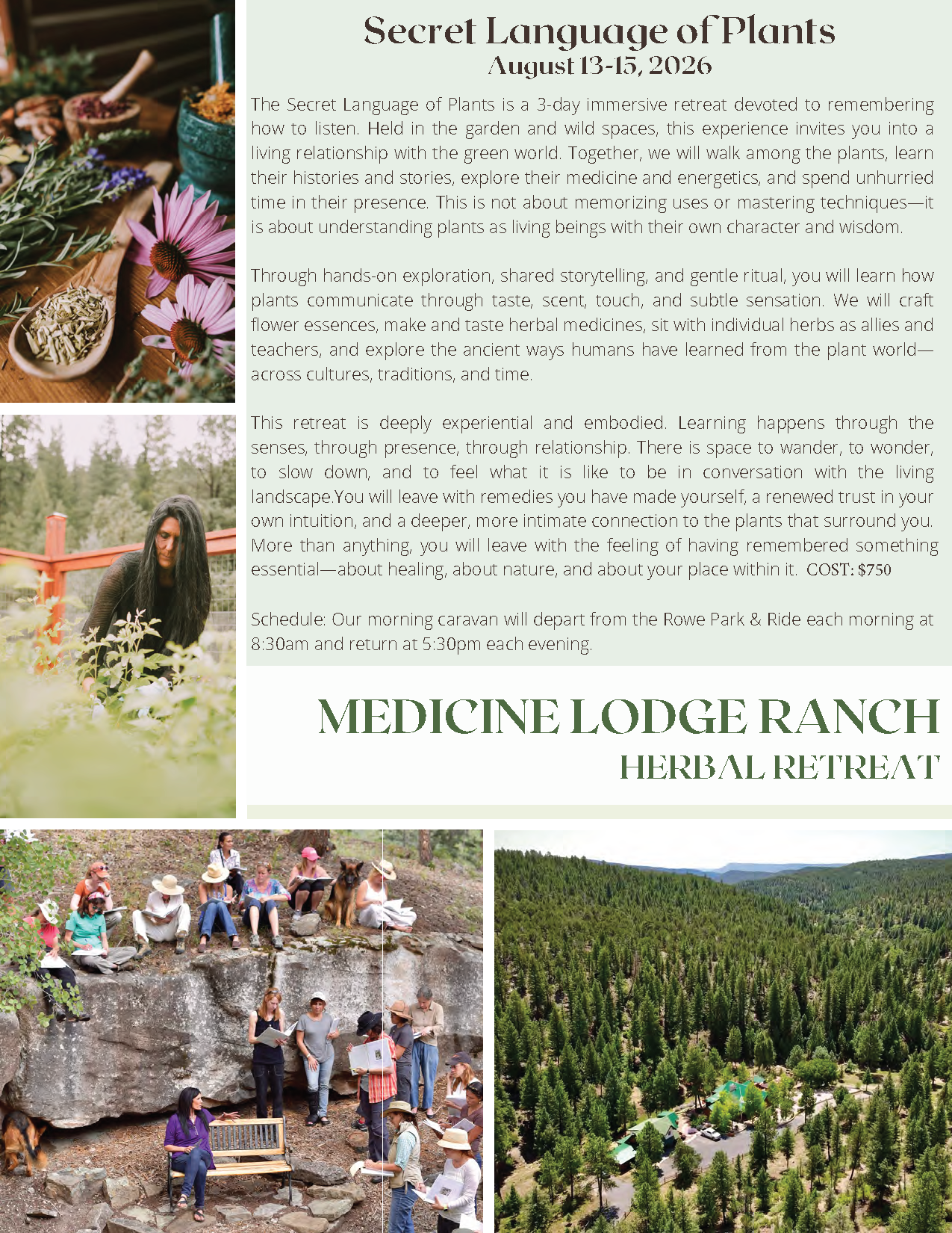 Secret Language of Plants brochure image