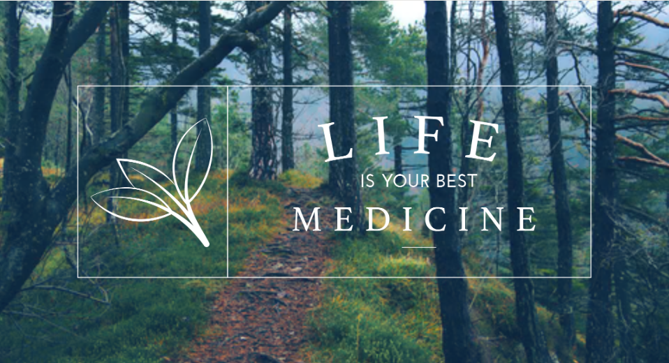 Image of Life Is Your Best Medicine course