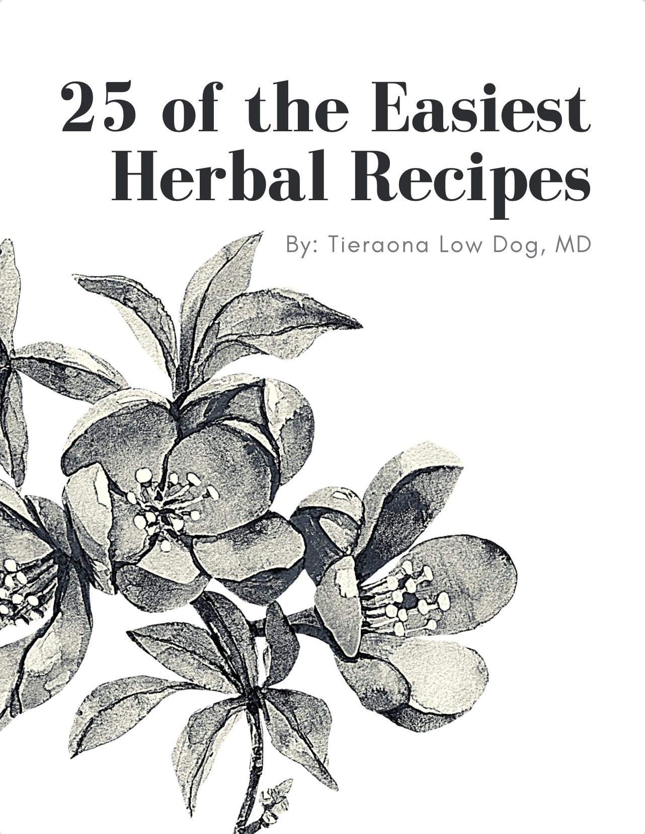 25 of the Easiest Herbal Recipes