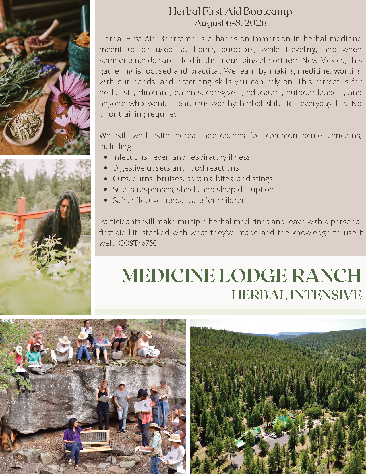 Herbal First Aid Bootcamp Image