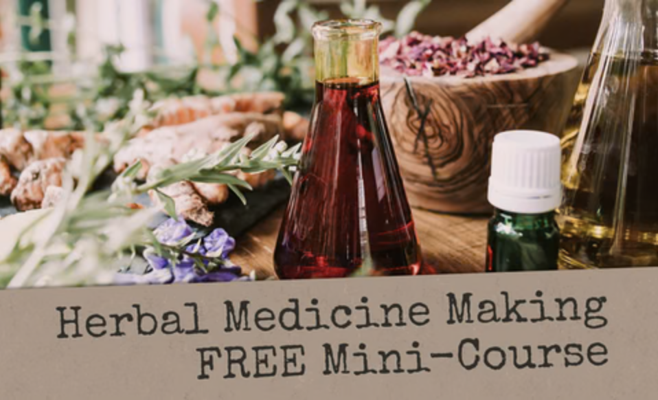 Photo of Free Herbal Medicine Making course
