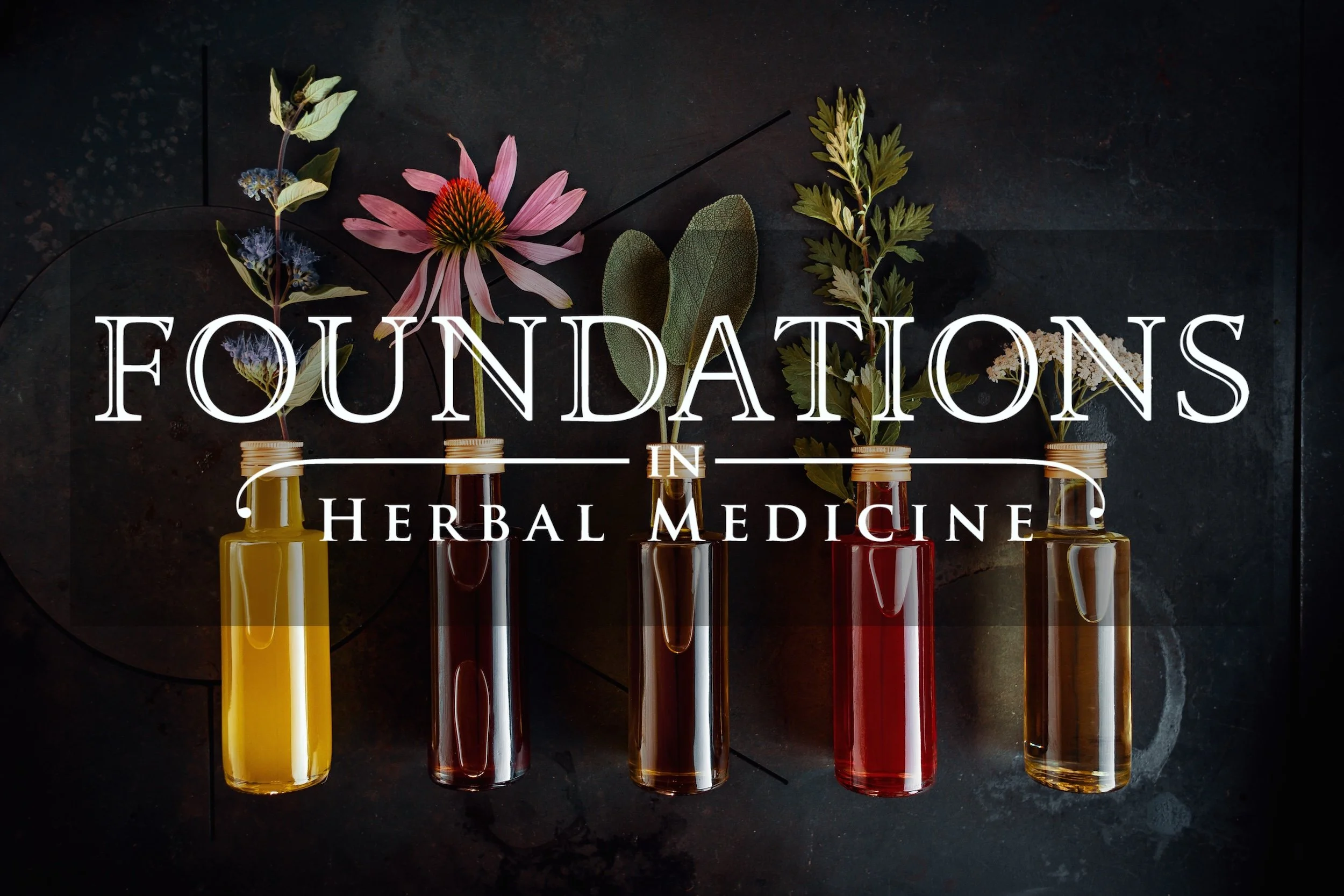 Foundations In Herbal Medicine course image