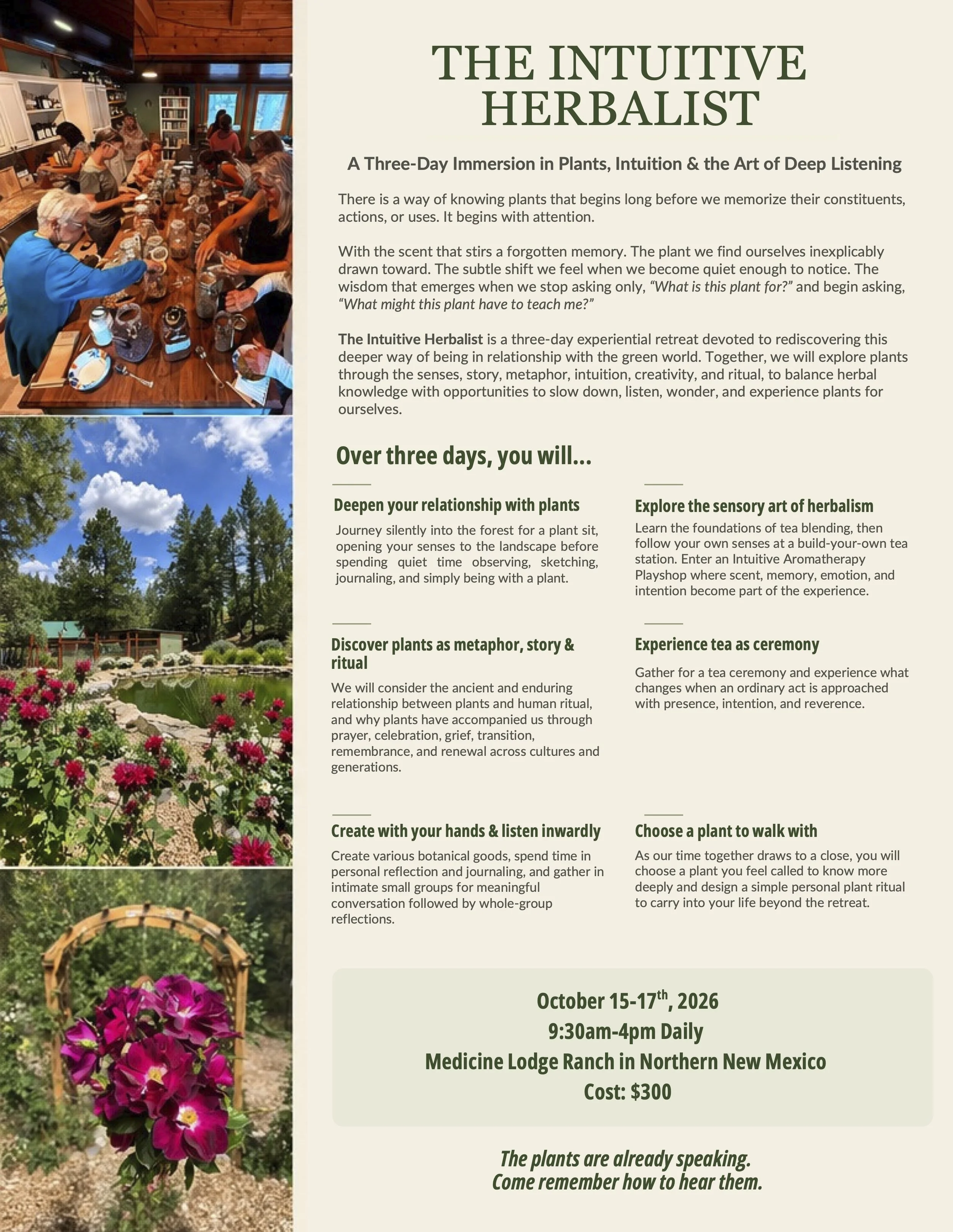 THE INTUITIVE HERBALIST