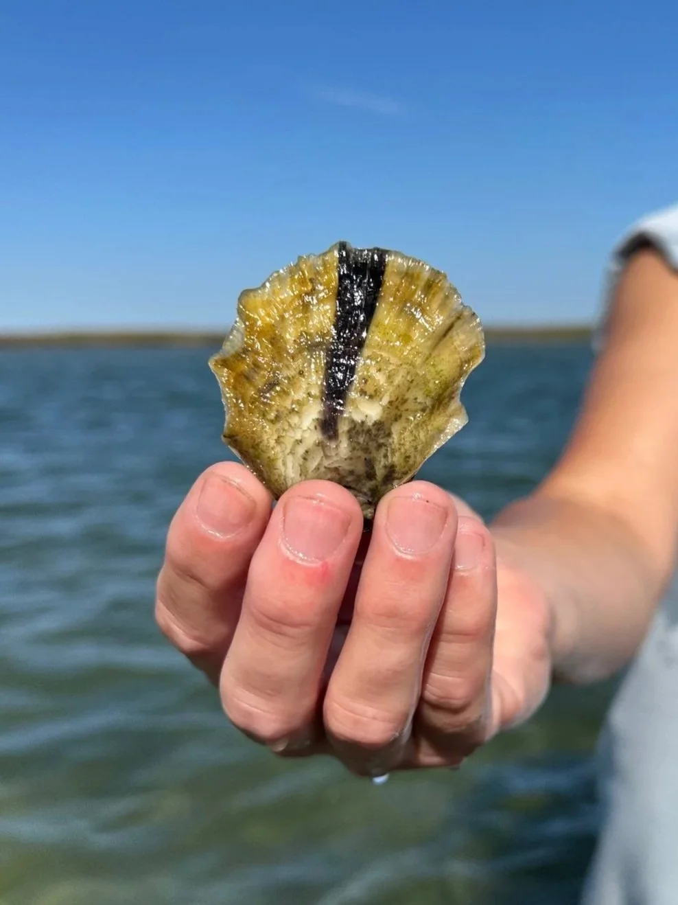 2025 Restoration in Review