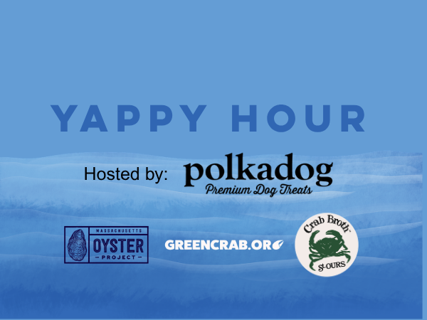 Yappy Hour with Polka Dog