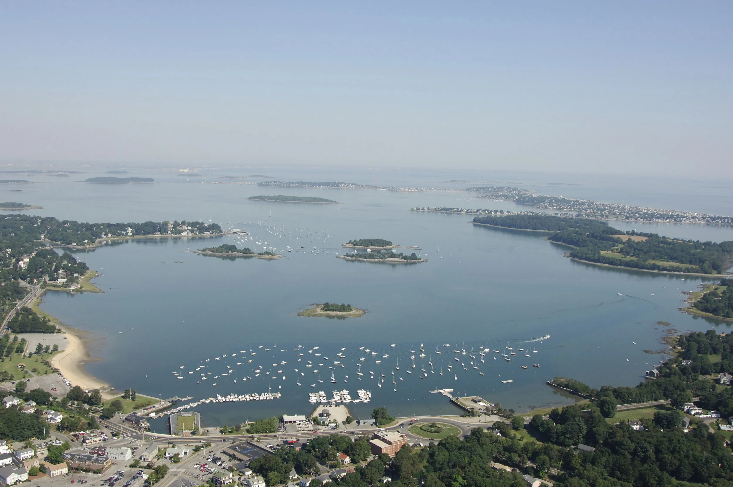 Oysterology 101. Small Shells. Big Impact