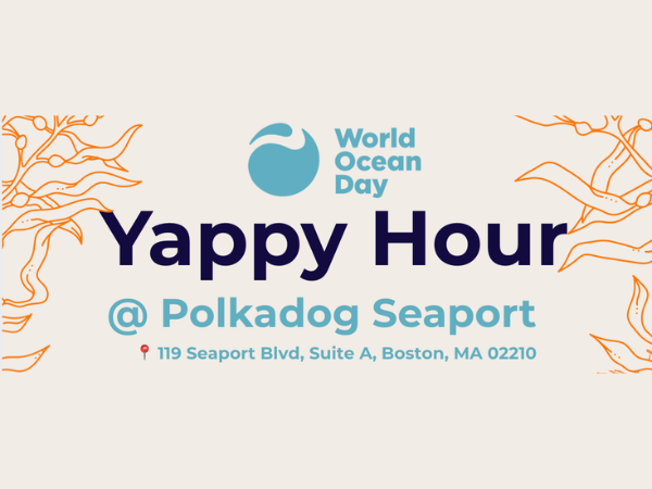 Yappy Hour with Polka Dog
