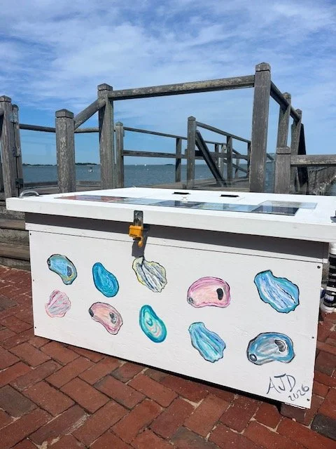 Wequassett Resort Partners with Mass Oyster Project to Grow Oyster Restoration on Cape Cod