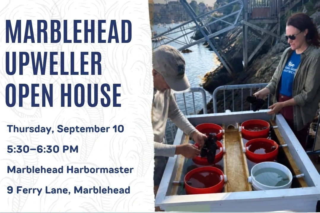 Marblehead Upweller Open House