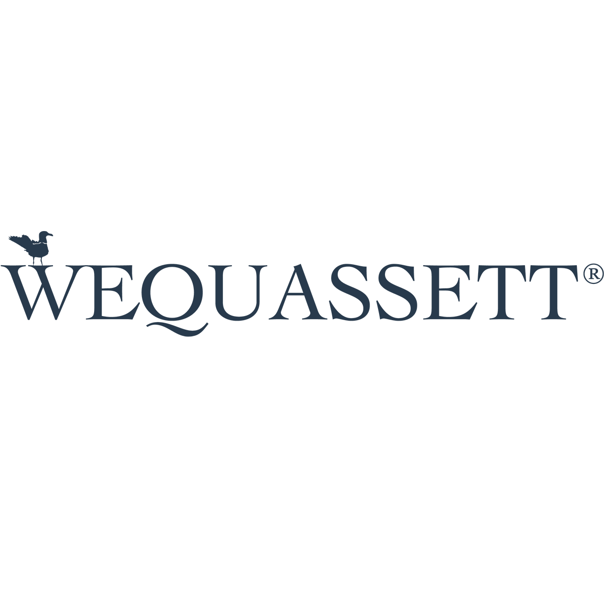 wequasset-web.png