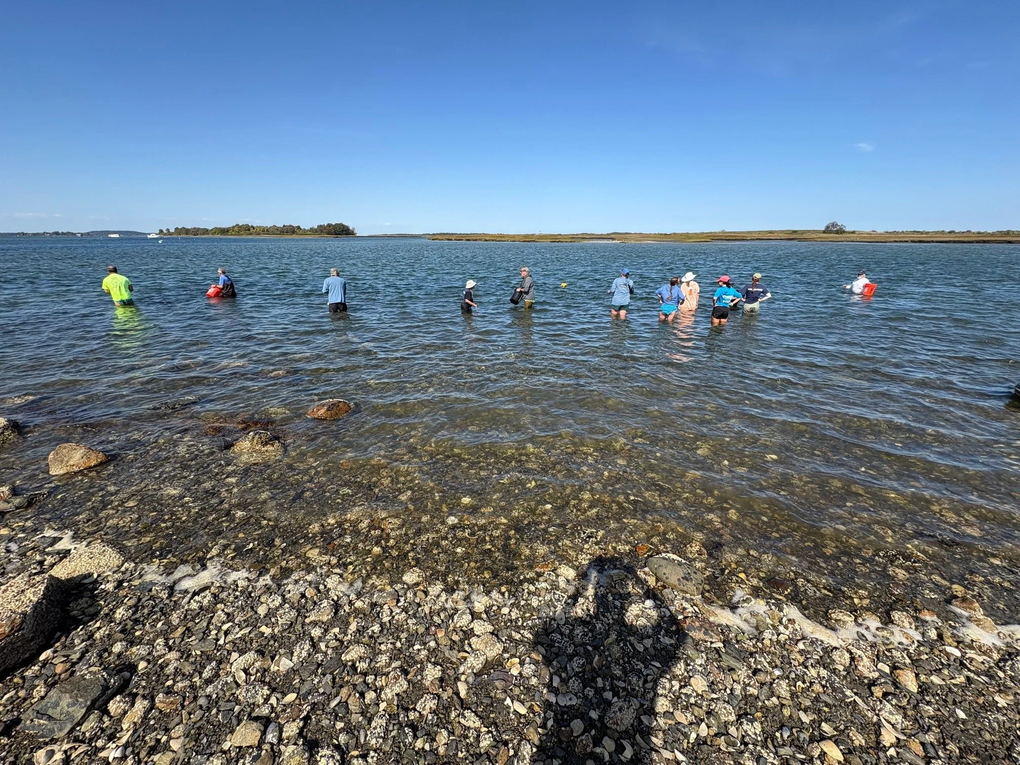 The oyster planters.jpg