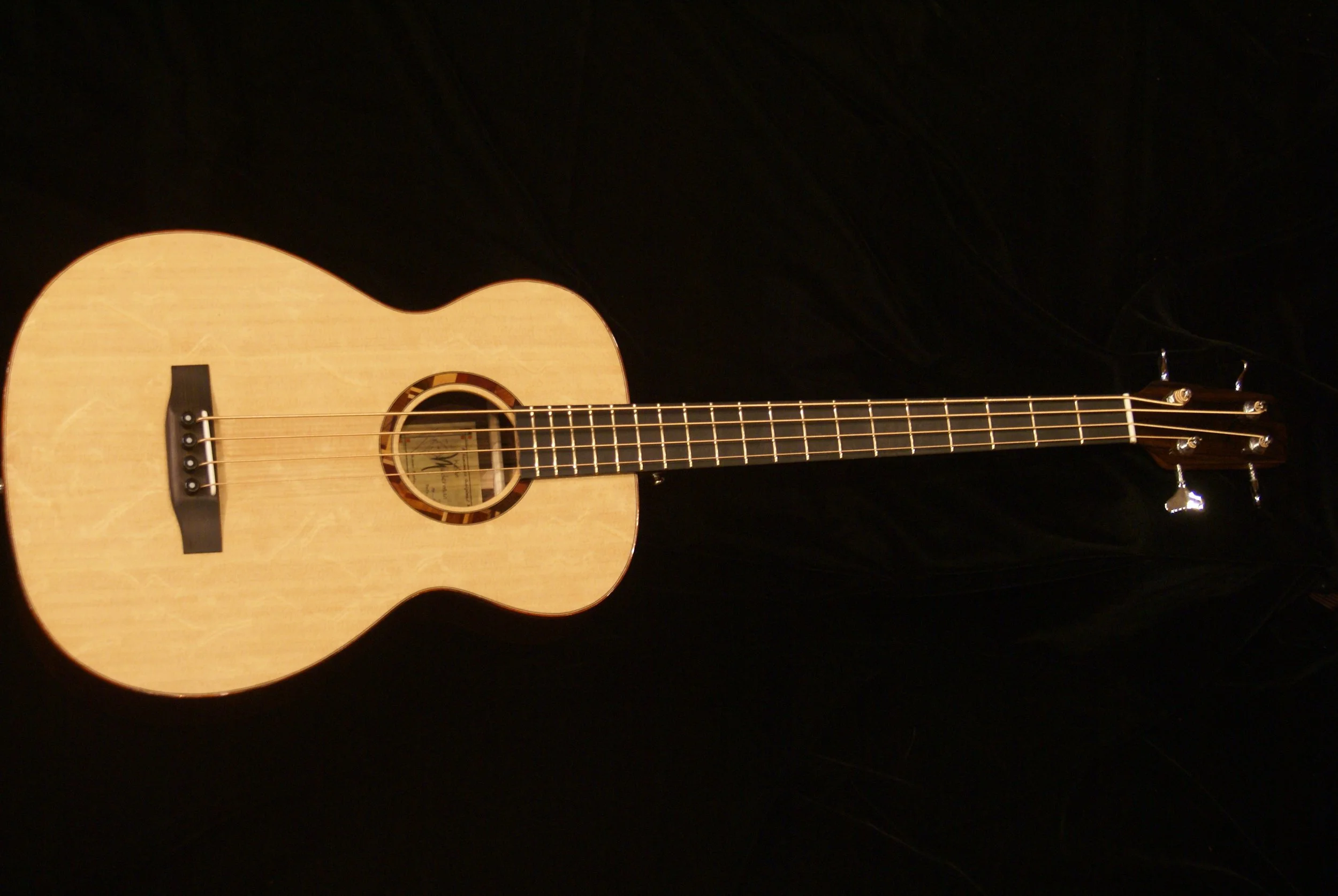 Mike Gordon Acoustic Bass