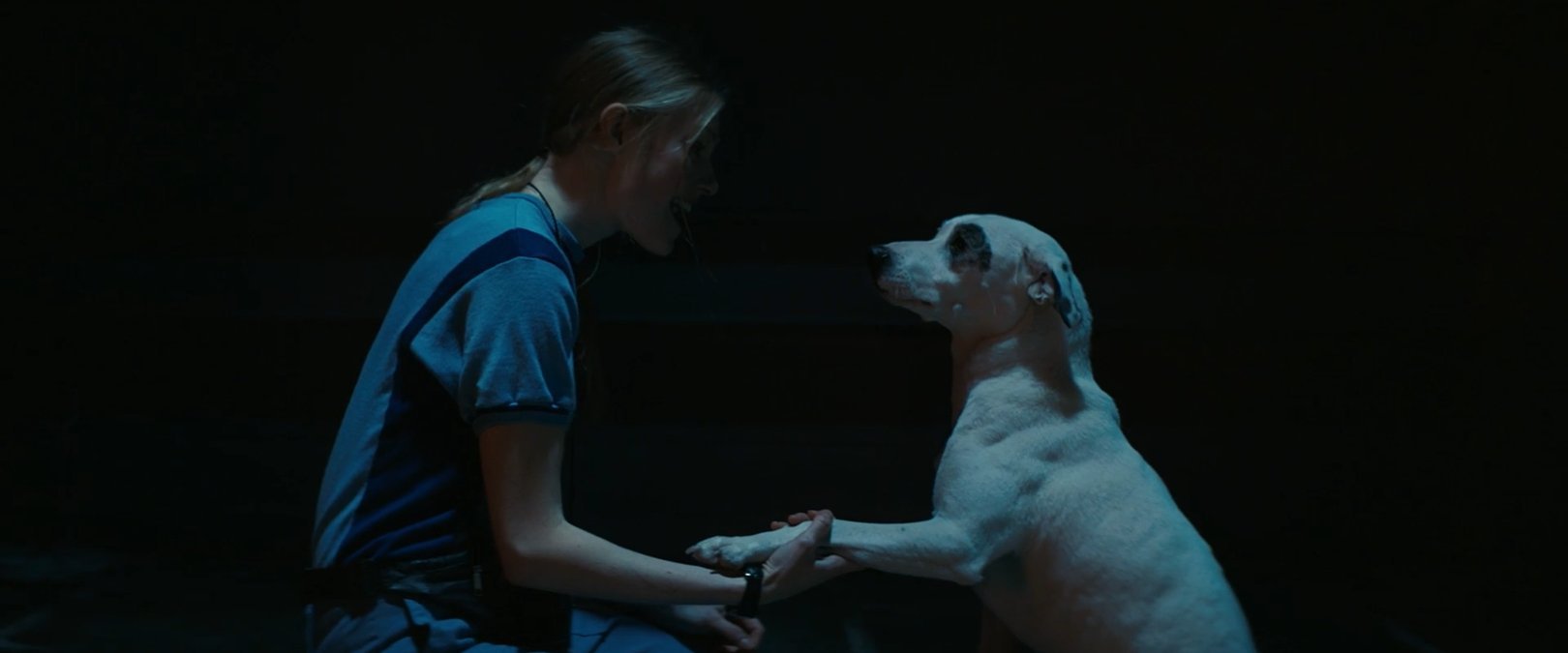 SHOT 29
Child and Charlie “shake” with a treat.