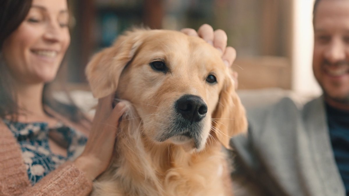 SHOT 20
Brief close-up: Maggie gently pats Milo’s head, pleased with his good manners.