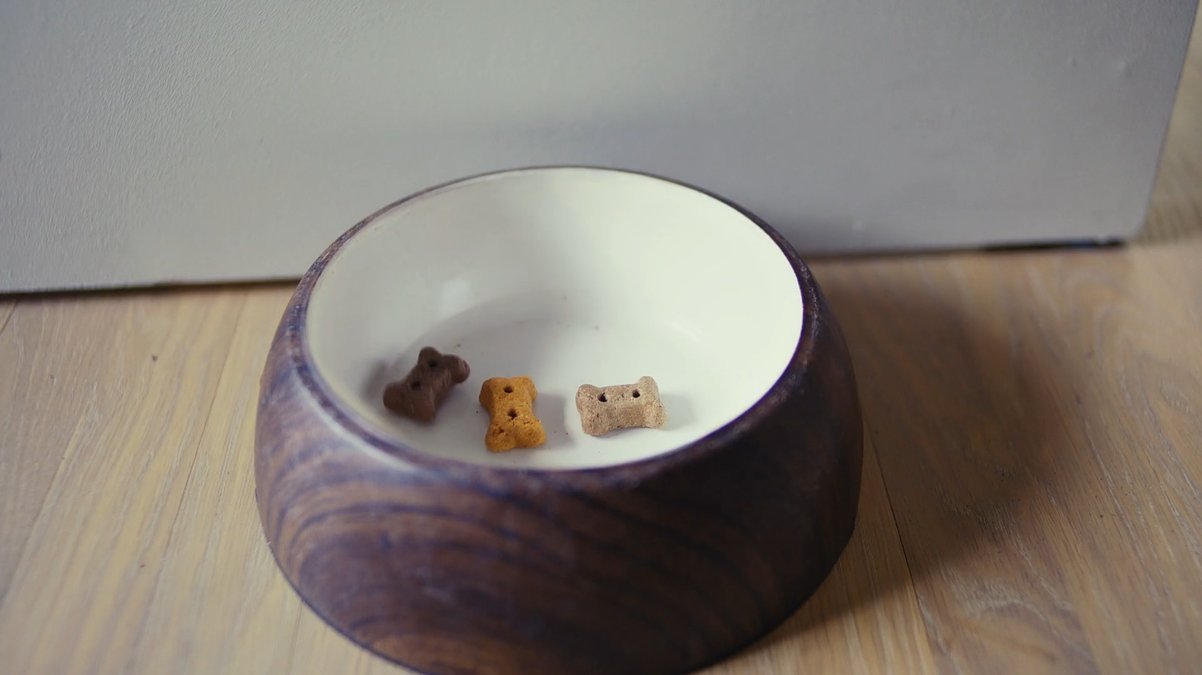 SHOT 12
Child sees empty bowl on floor. Smiles, picks it up. Charlie stands content.