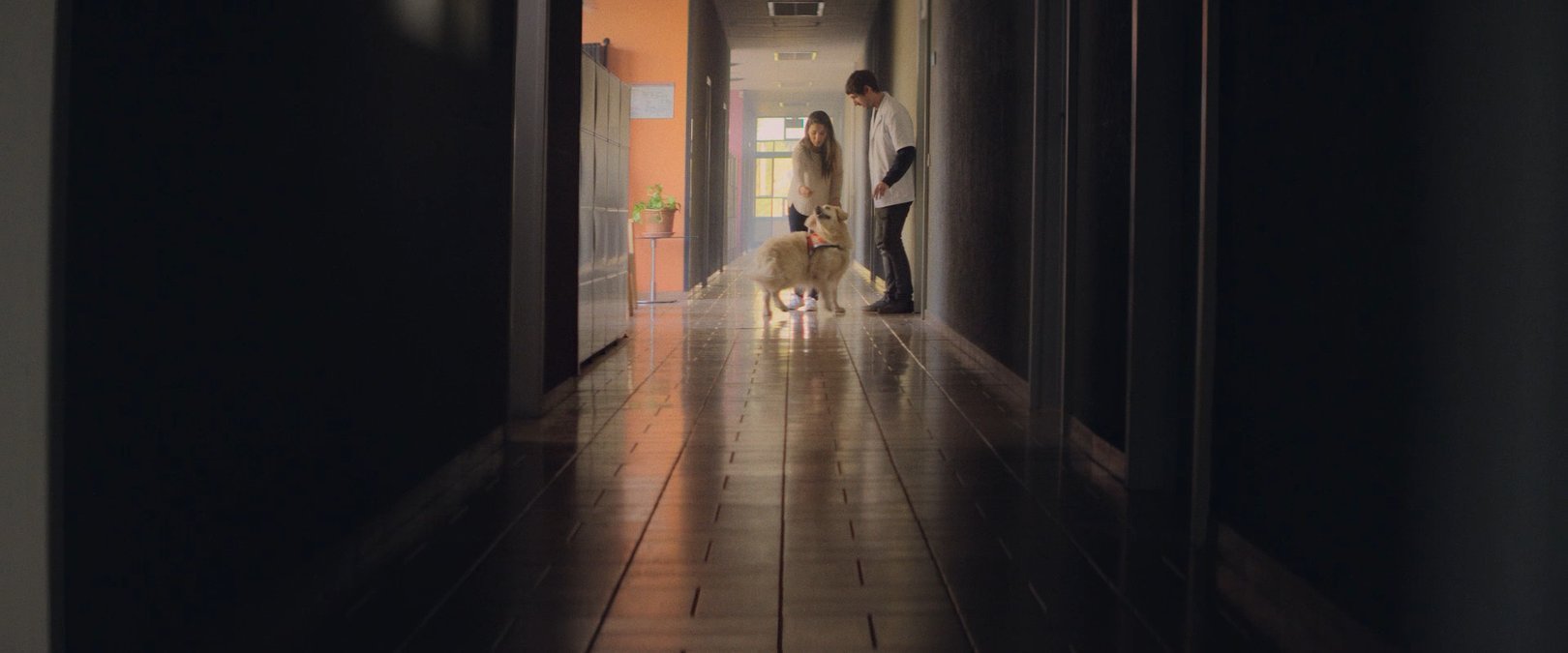SHOT 6
INT. HOUSE – DAY
Charlie runs ahead of the family as they enter.