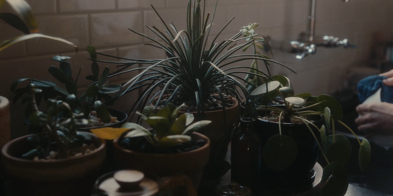SHOT 21
Interior: Maggie waters a houseplant. Milo stays nearby, quietly observing.