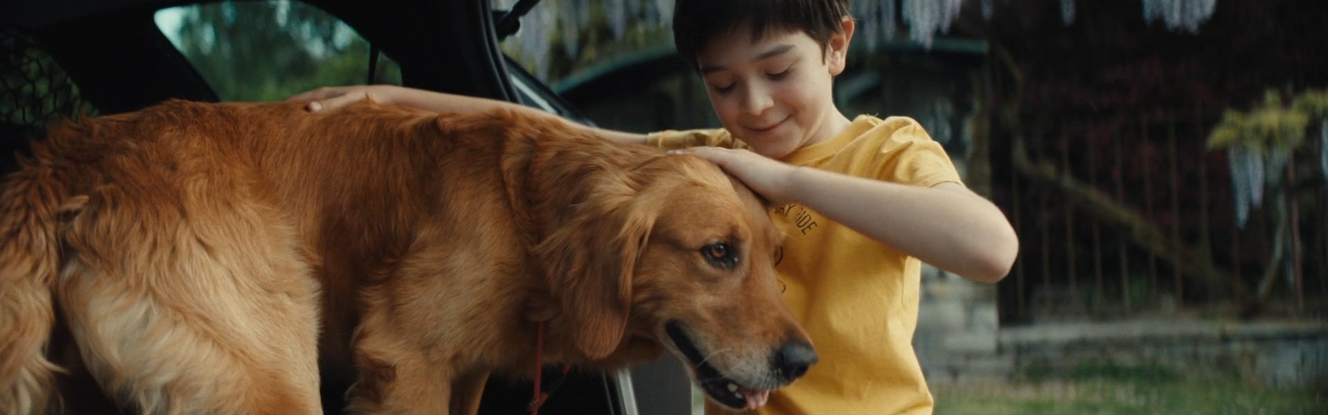 SHOT 2
INT. ANIMAL SHELTER – DAY
One kid kneels and pets Charlie.