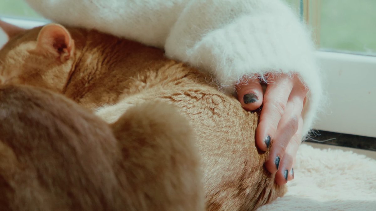 SHOT 29
Tight on Maggies hand petting dog.