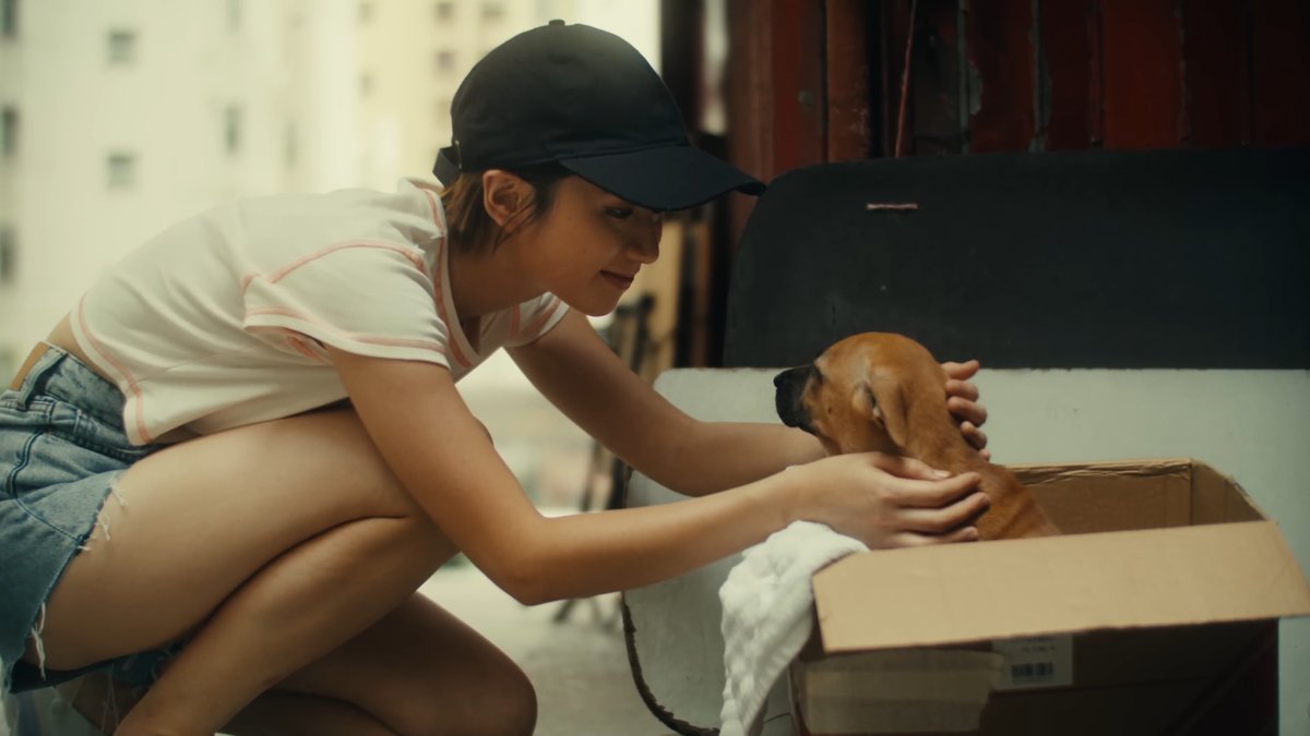 SHOT 7
Maggie kneels and pets Milo. He nuzzles her hand.