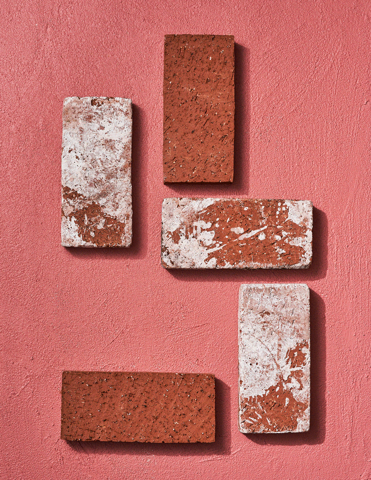 SHIH_KershekDolph_Tartines-Sandwiches-IG-slow.gif