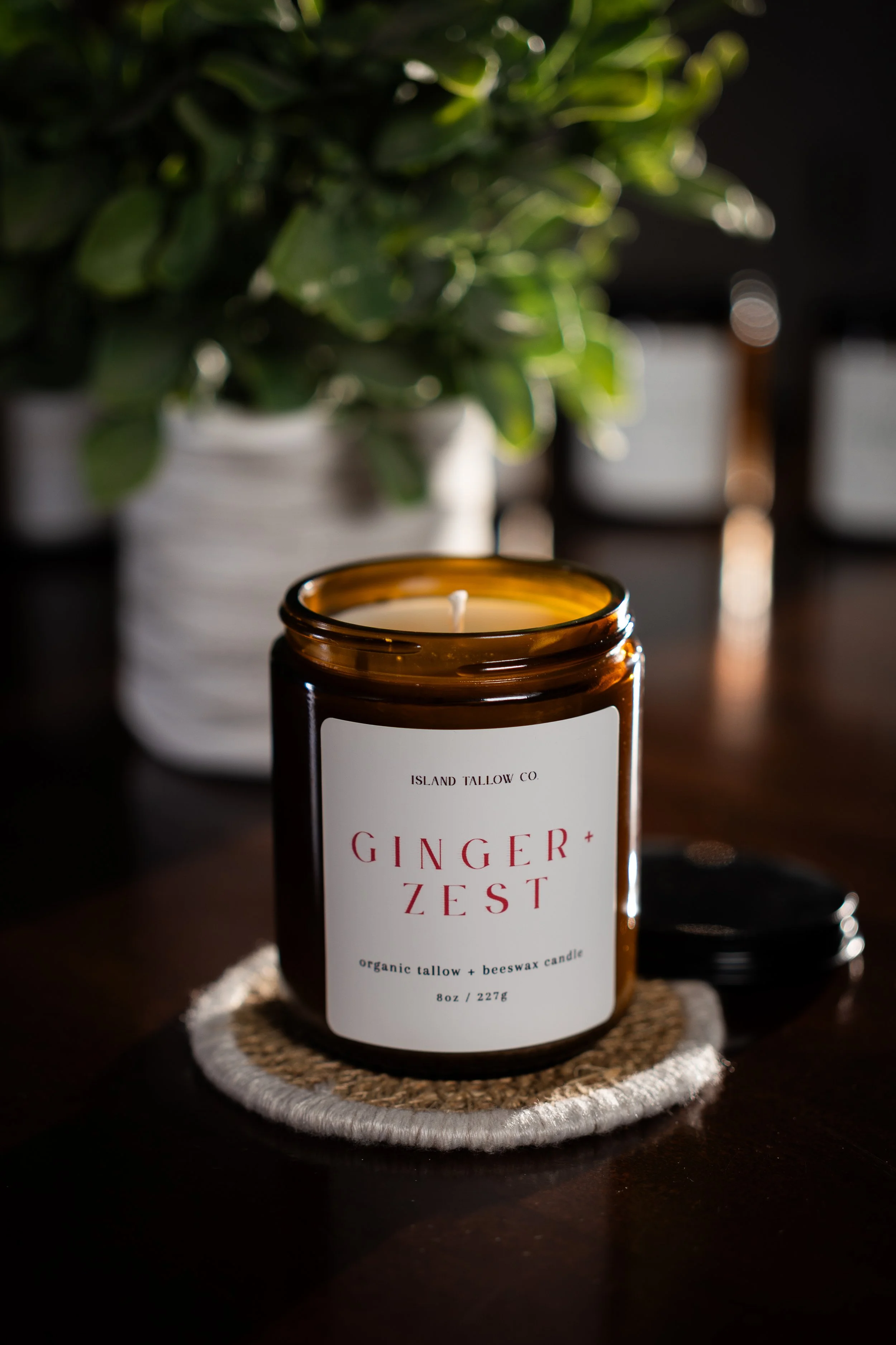 Ginger + Zest 8oz Jar Candle