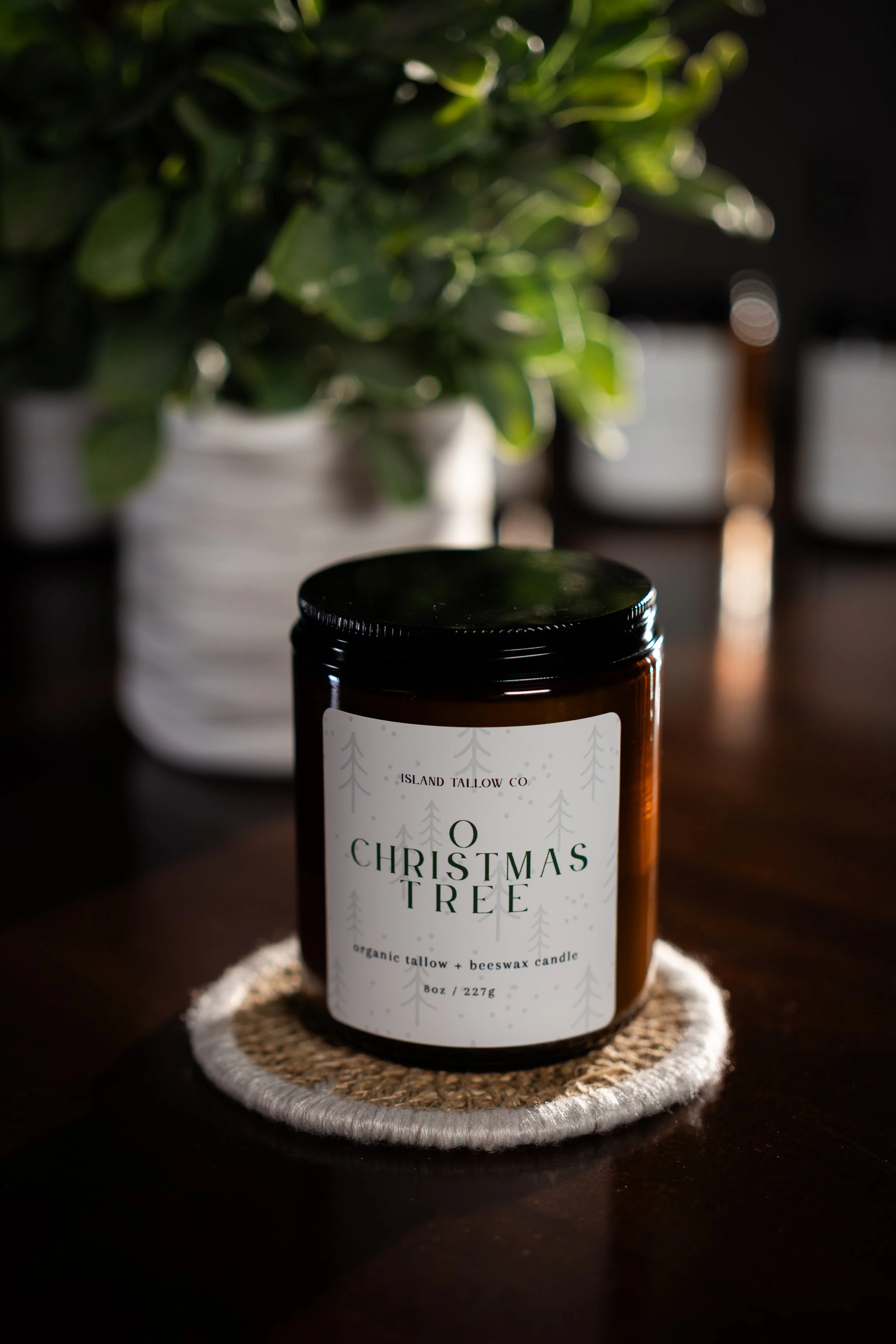 2025-11-25 OChristmasTree.jpg