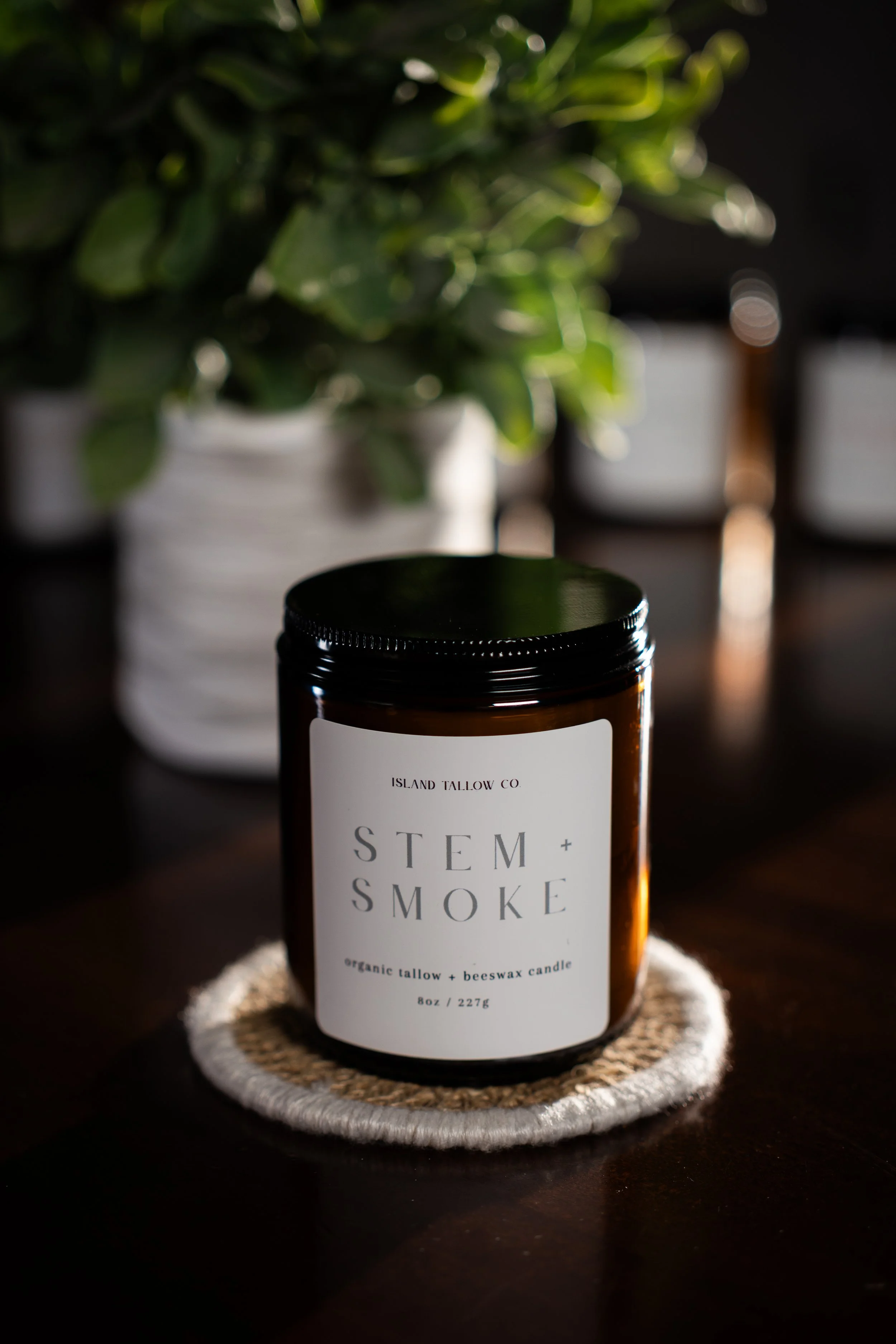 2025-11-25 Stem+smoke.jpg