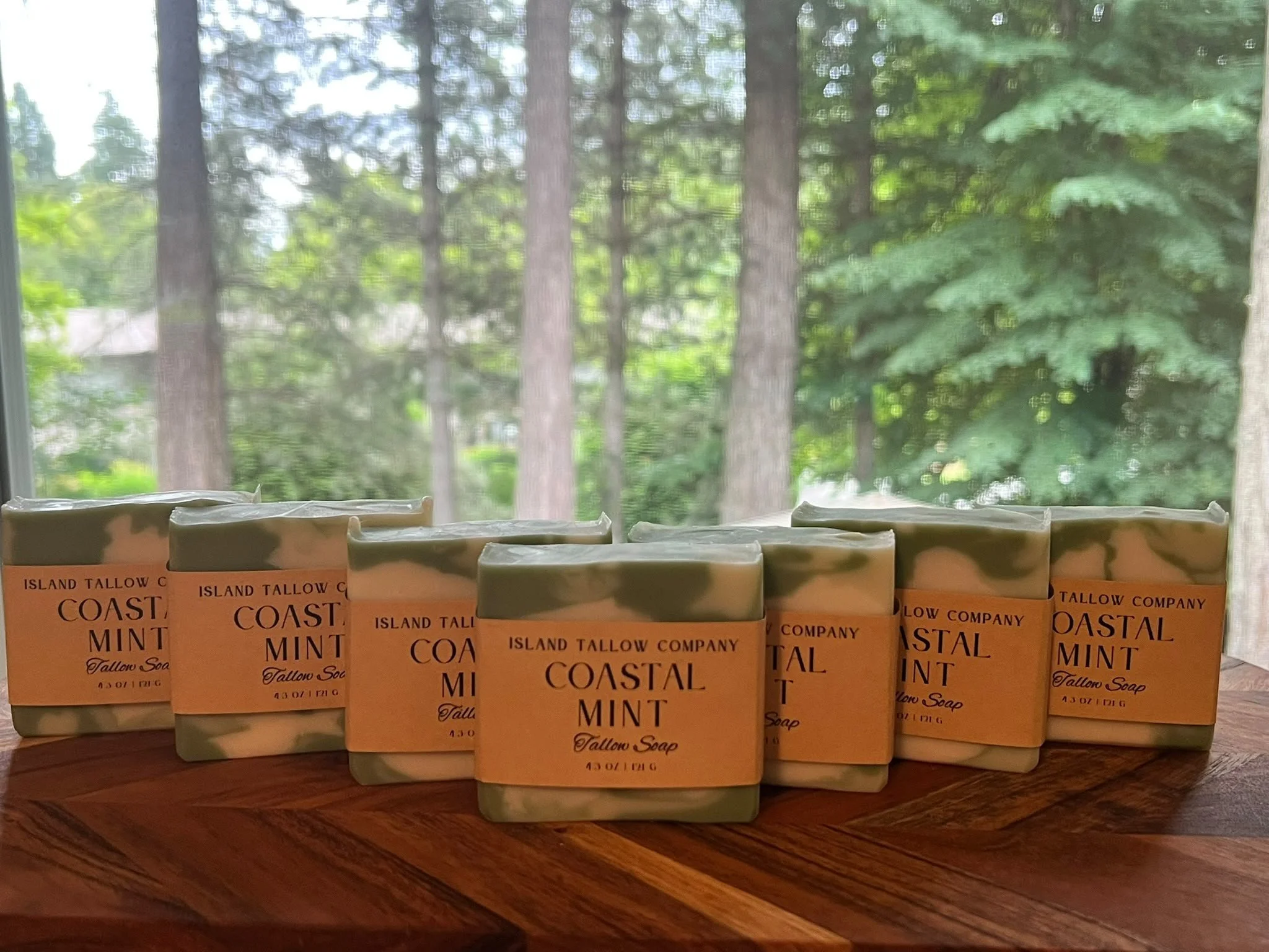 coastal mint.jpeg
