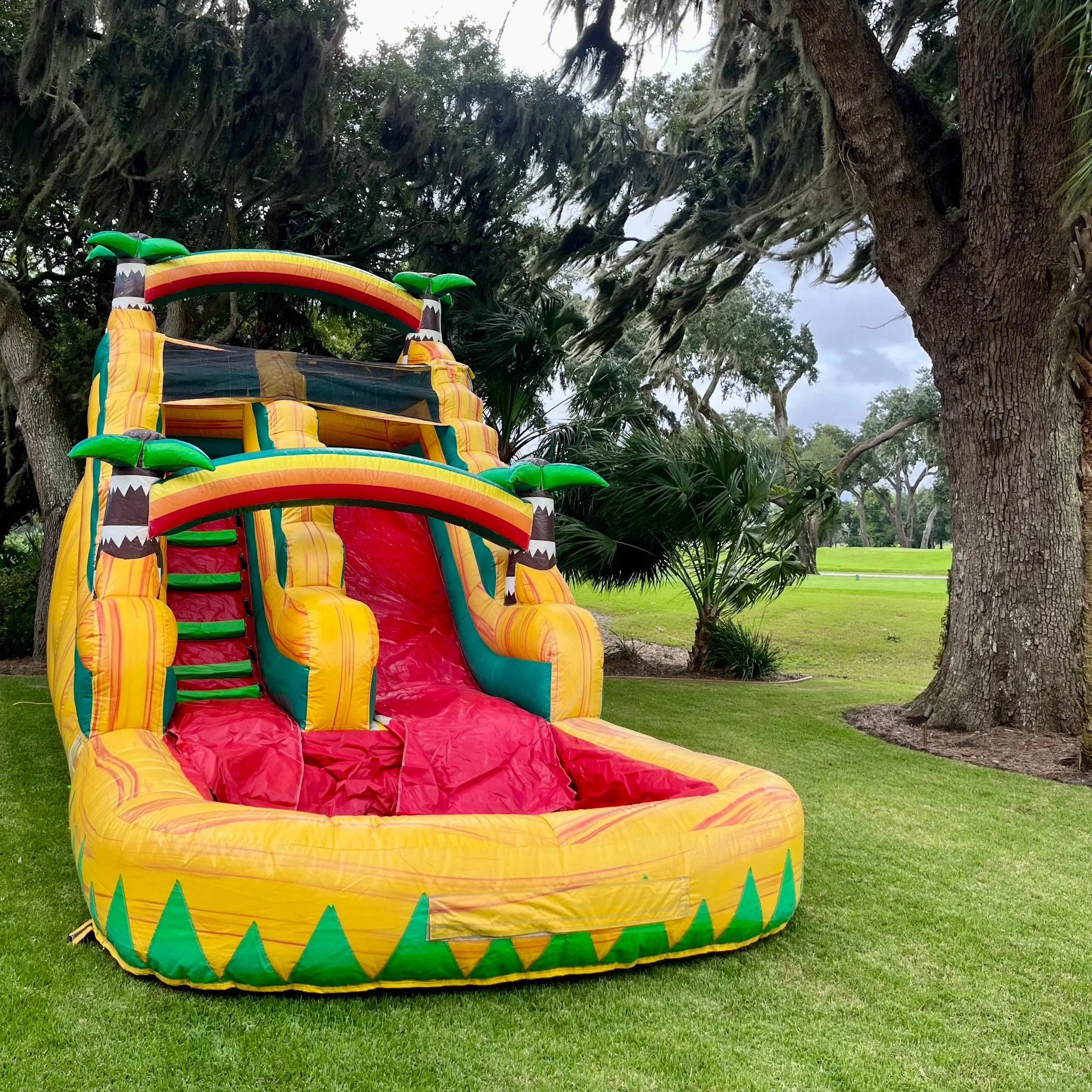 Sunshine Falls 16-ft inflatable water slide rental in Brunswick GA set up for a backyard summer party.