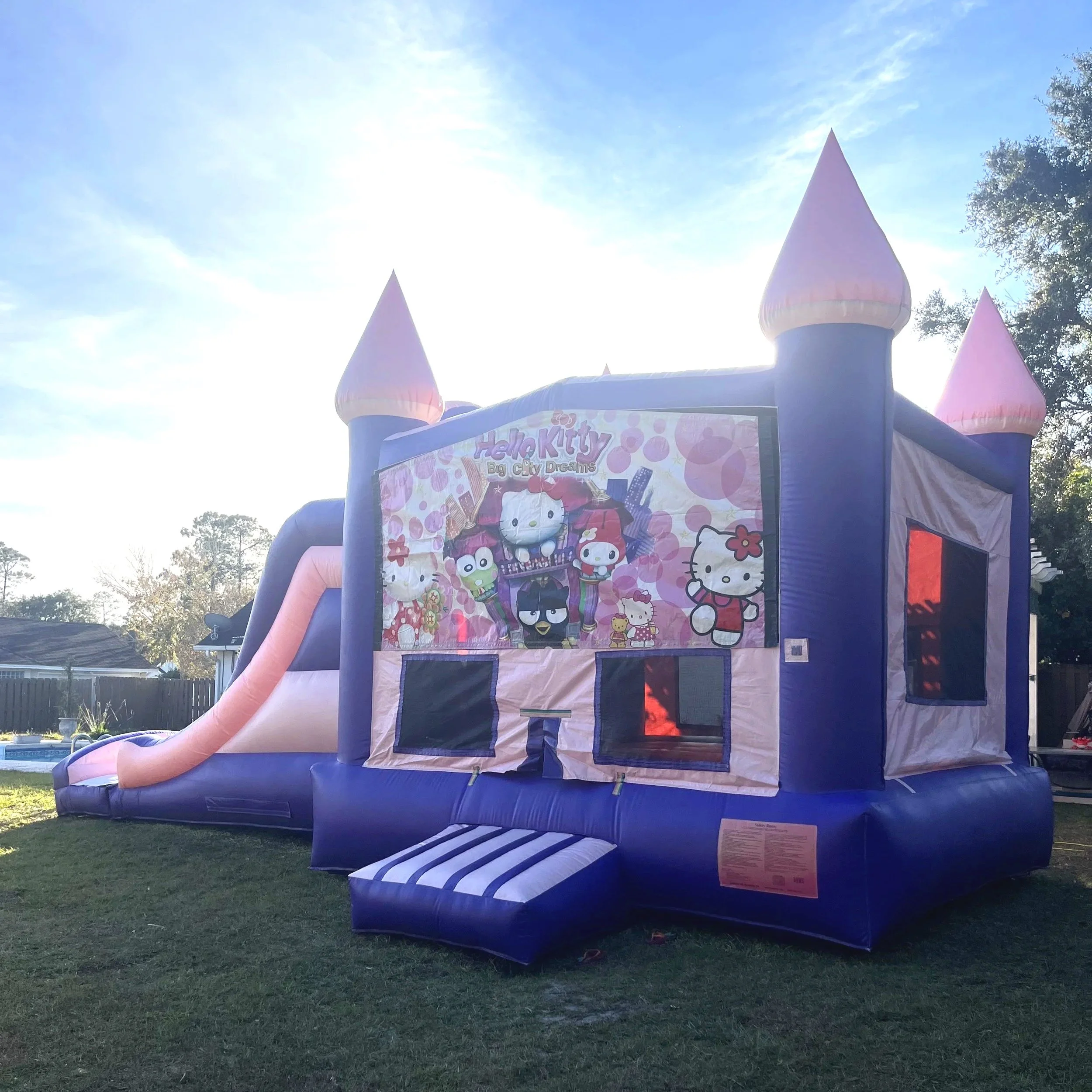 Front entrance of a kids’ bounce house and slide combo with castle design and mesh windows. Kitty Castle inflatable rental in Brunswick, GA, ideal for toddler parties and younger children.