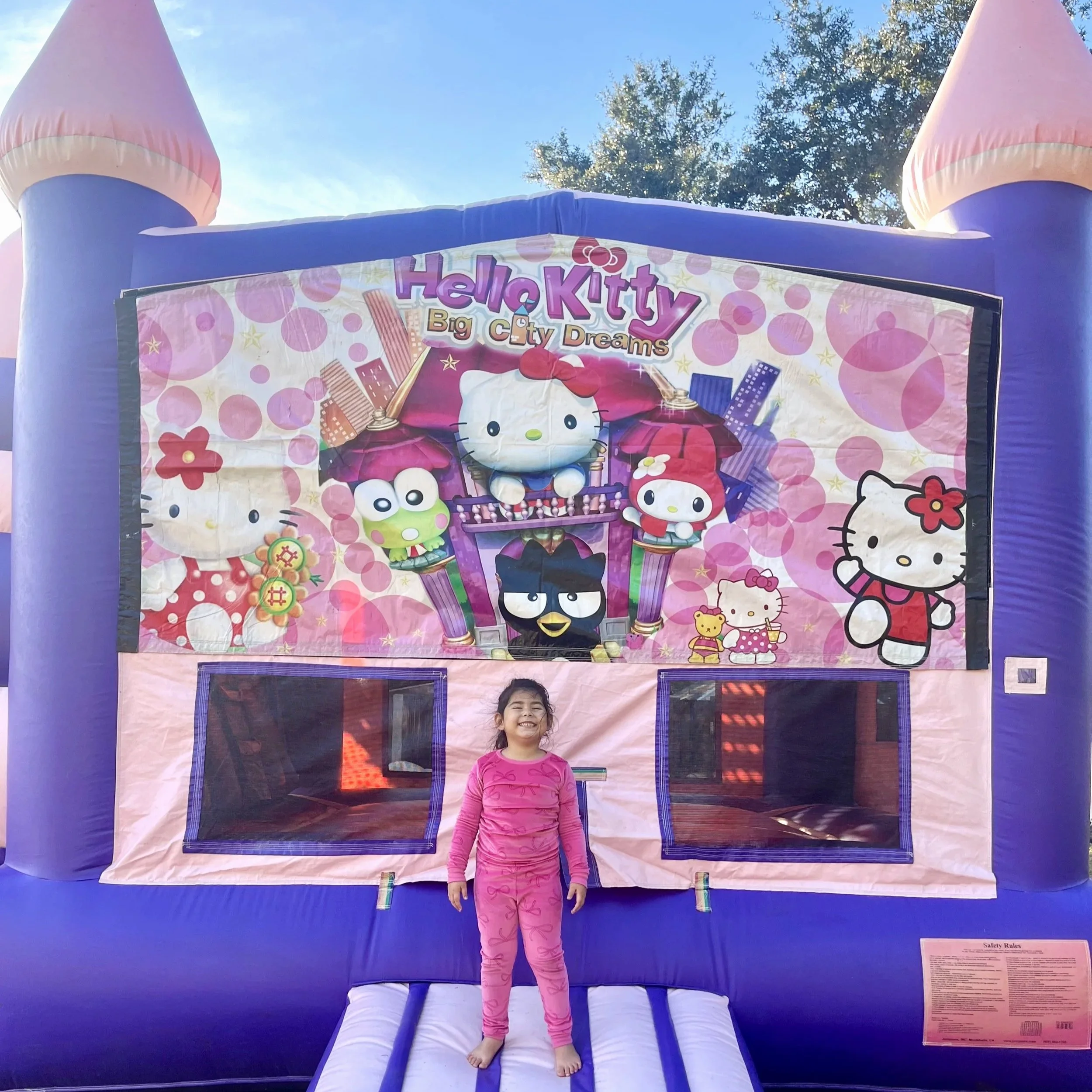 Front entrance of a kids’ bounce house and slide combo with castle design and mesh windows. Kitty Castle inflatable rental in Brunswick, GA, ideal for toddler parties and younger children.
