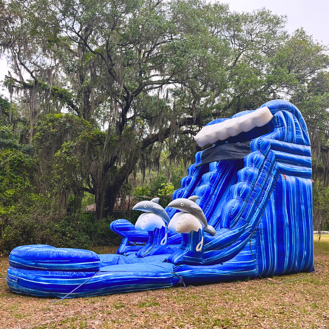 Flipper2.png